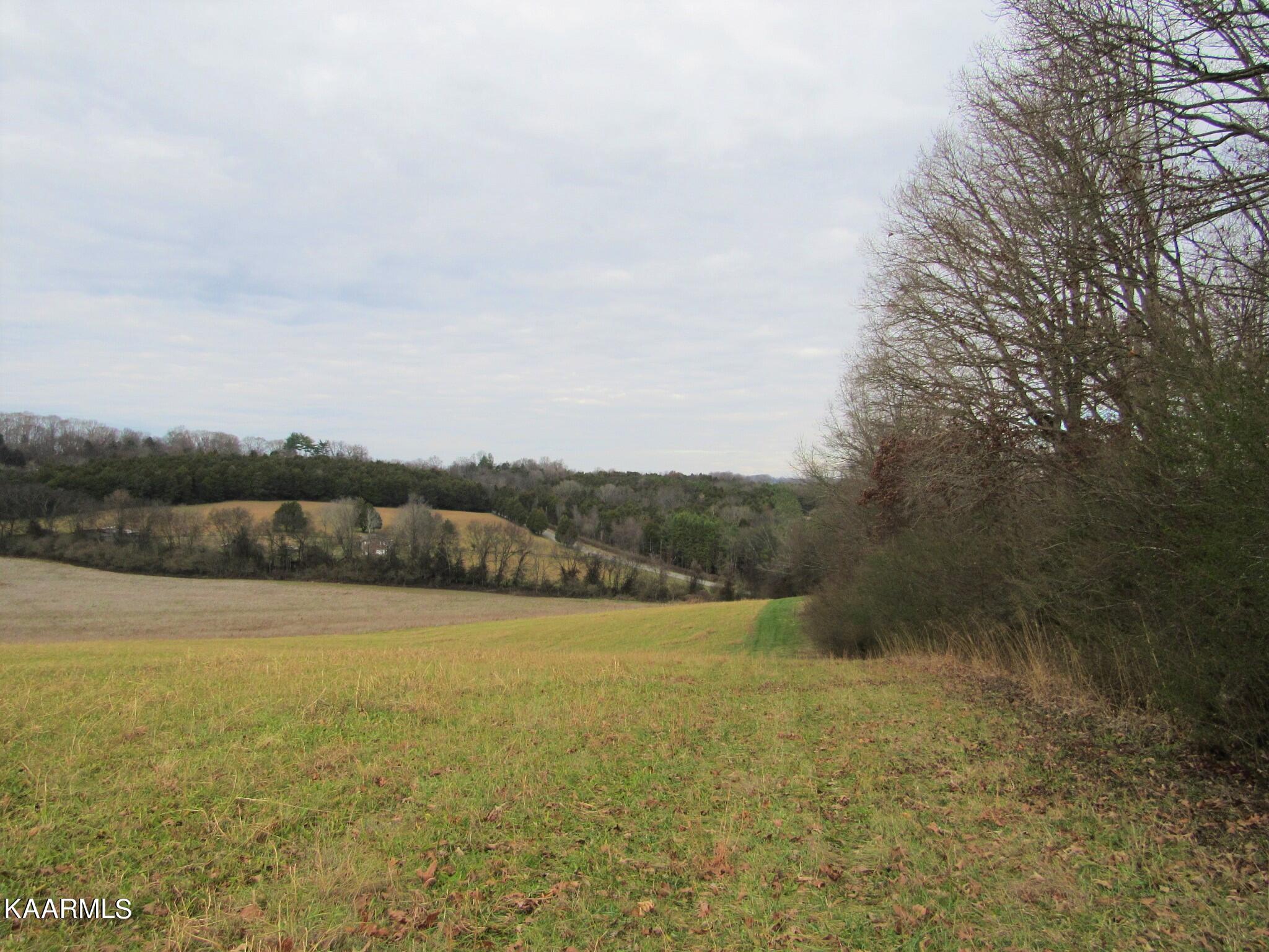 River Road Loudon, TN 37774 - Photo 2 of 34 IMG_3724 (2)