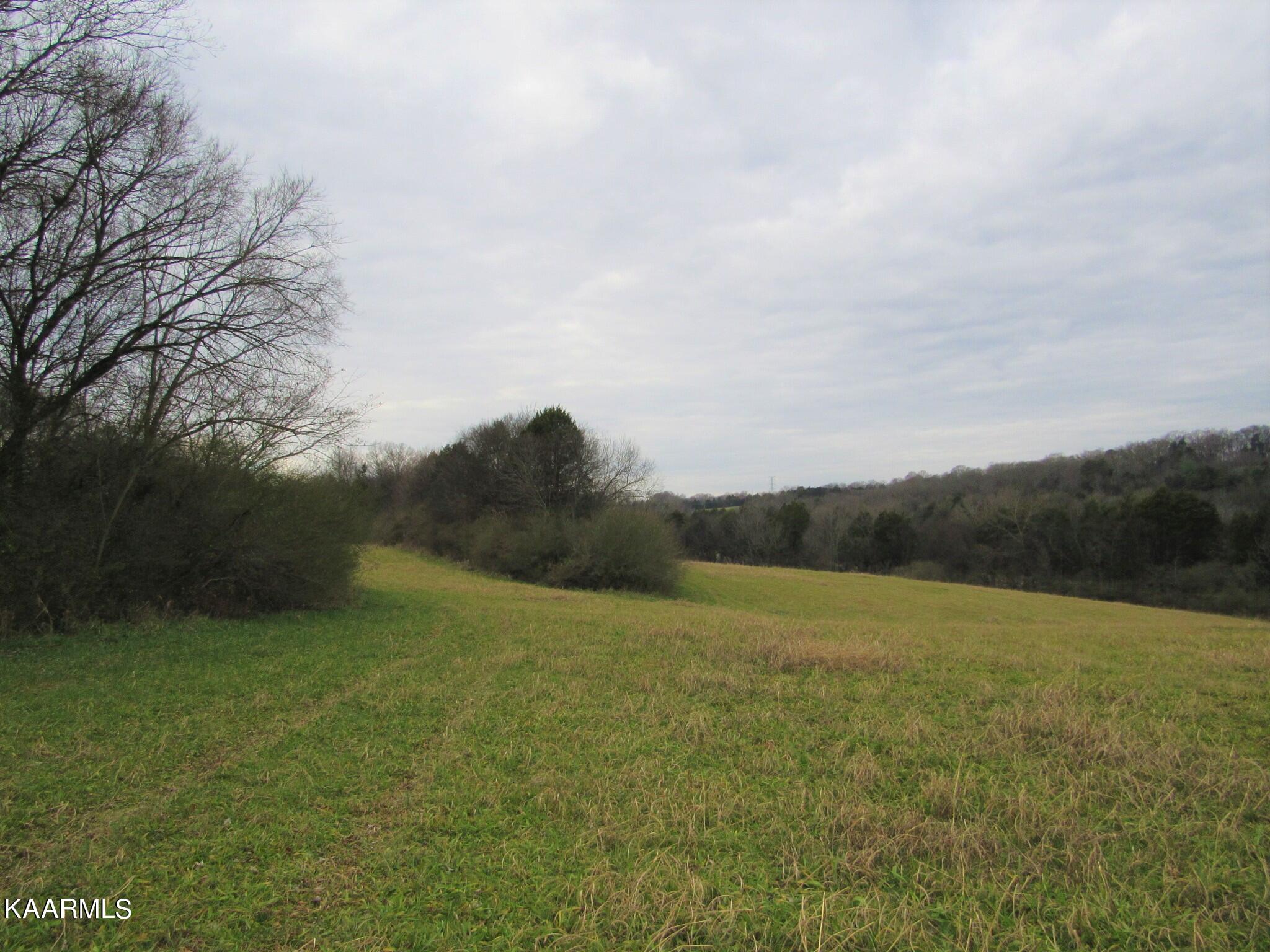 River Road Loudon, TN 37774 - Photo 11 of 34 IMG_3737 (2)