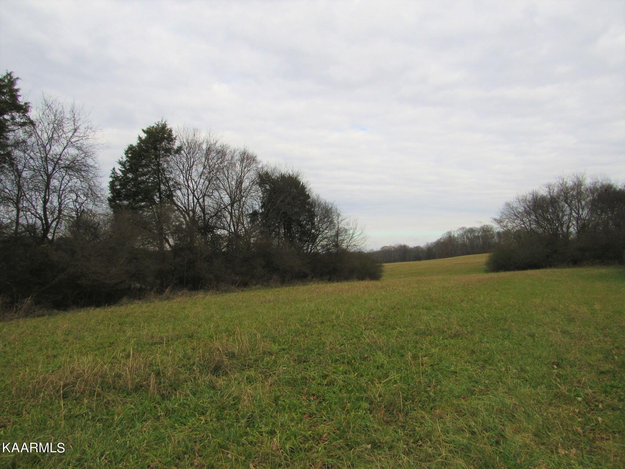 River Road Loudon, TN 37774 - Photo 13 of 34 IMG_3747 (2)