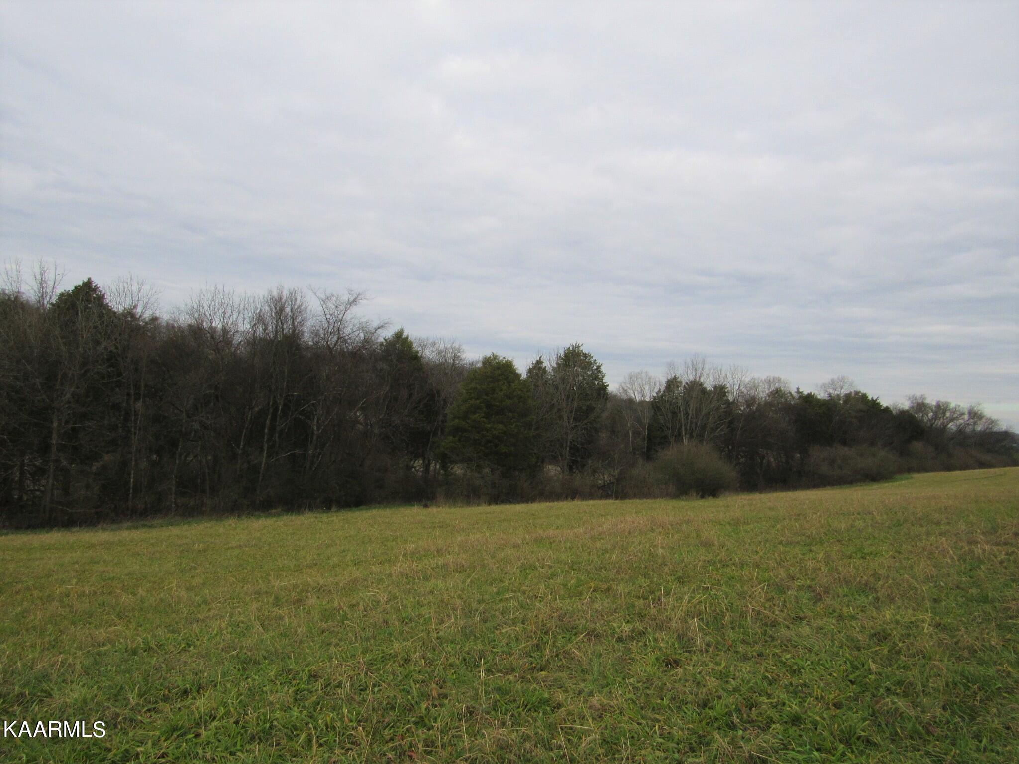 River Road Loudon, TN 37774 - Photo 14 of 34 IMG_3752 (2)
