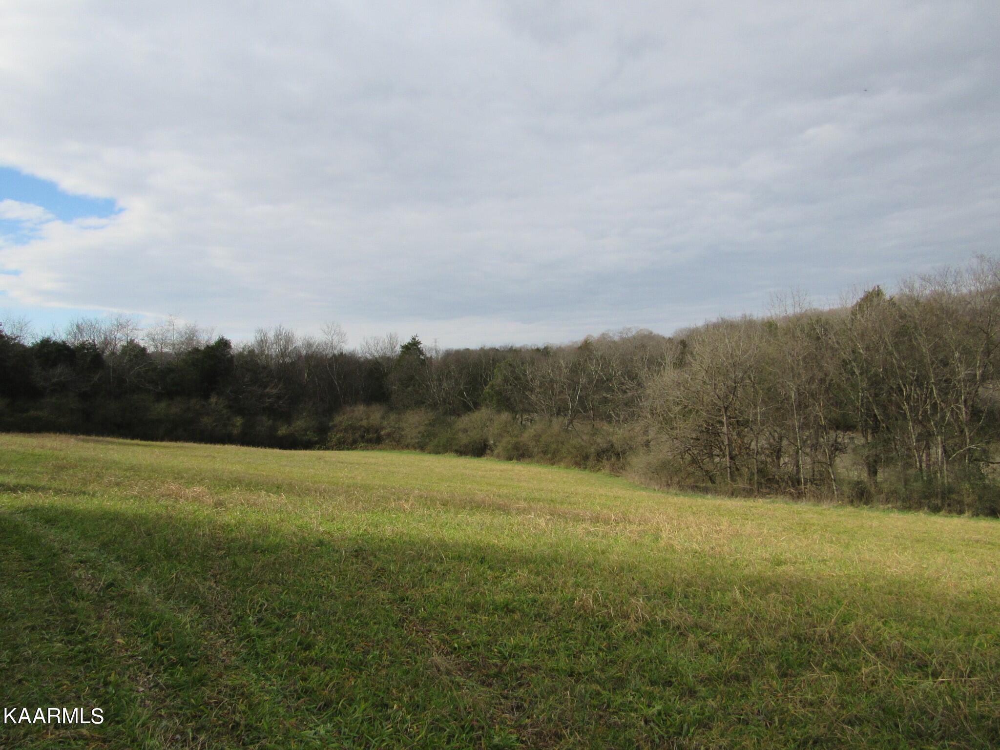 River Road Loudon, TN 37774 - Photo 15 of 34 IMG_3756 (2)