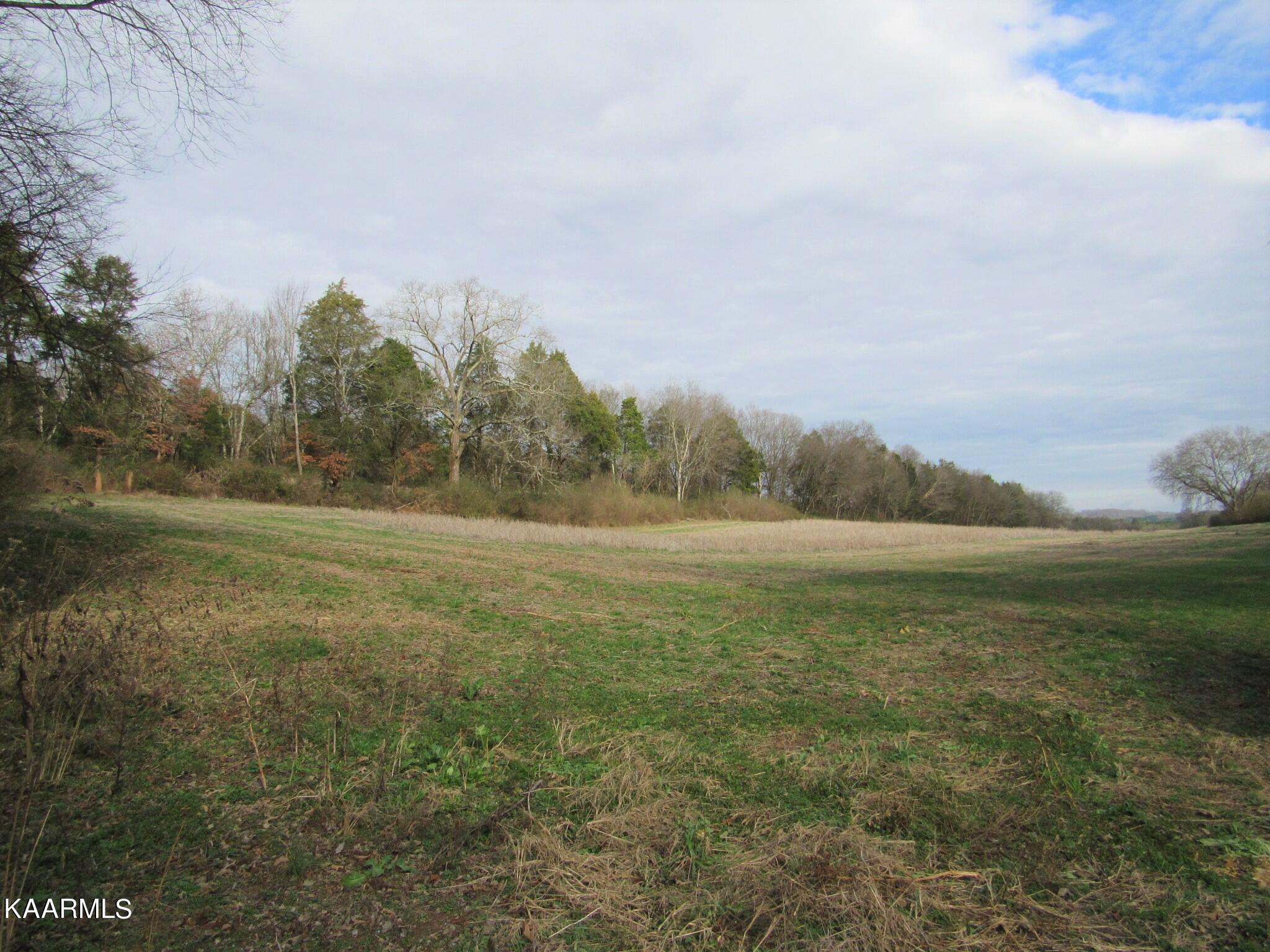 River Road Loudon, TN 37774 - Photo 16 of 34 IMG_3759 (2)