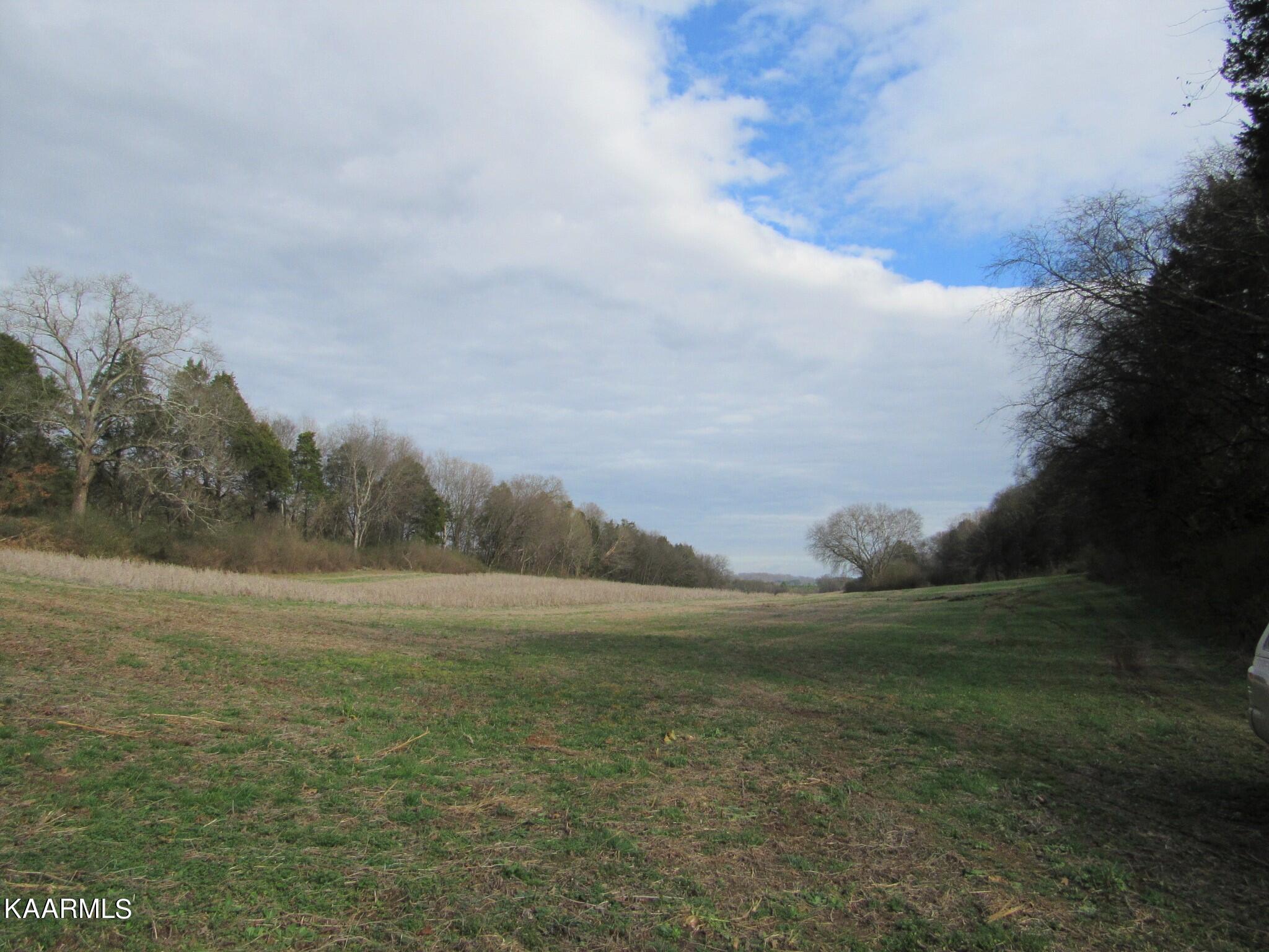 River Road Loudon, TN 37774 - Photo 17 of 34 IMG_3760 (2)