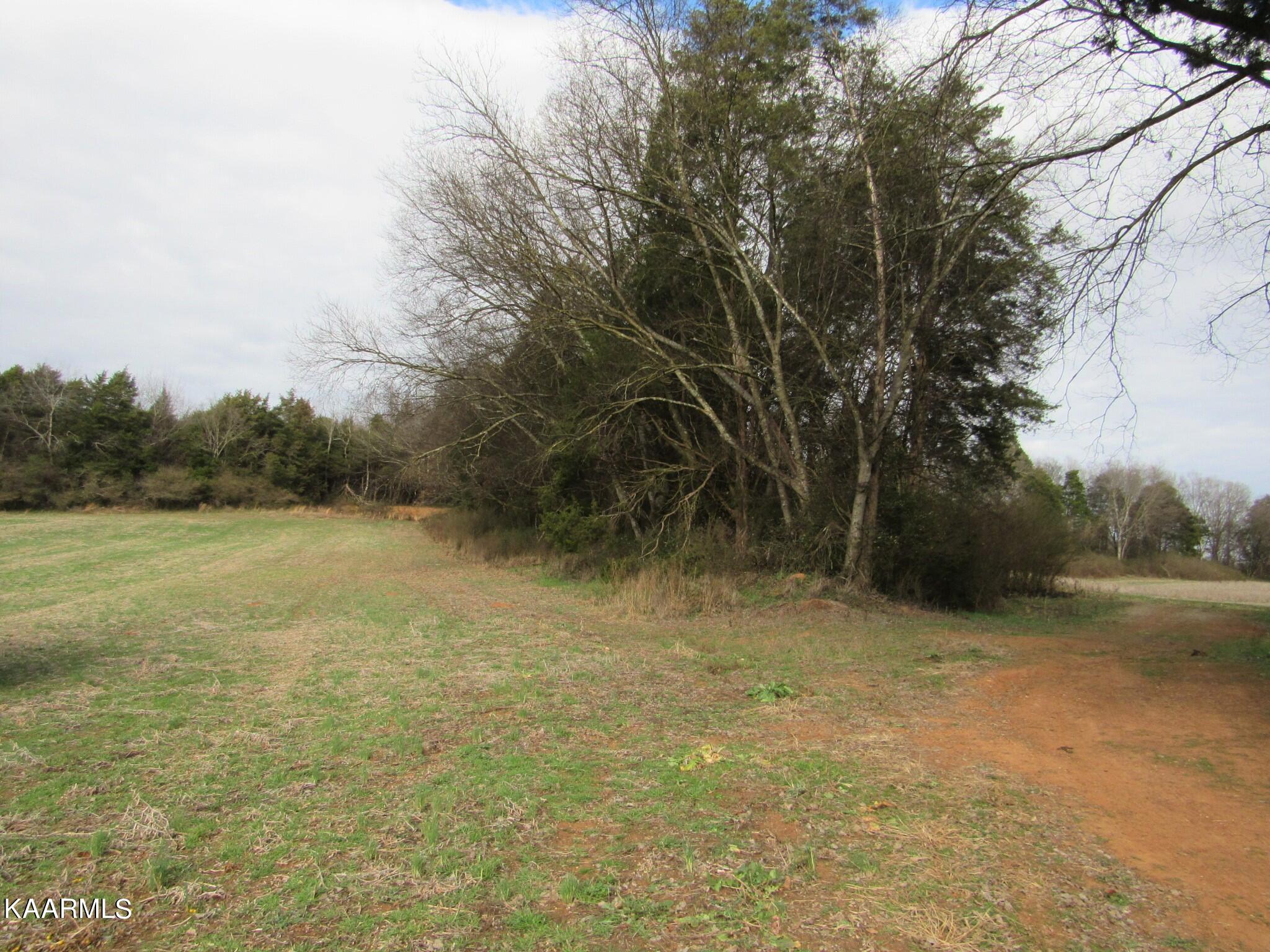 River Road Loudon, TN 37774 - Photo 20 of 34 IMG_3764 (2)