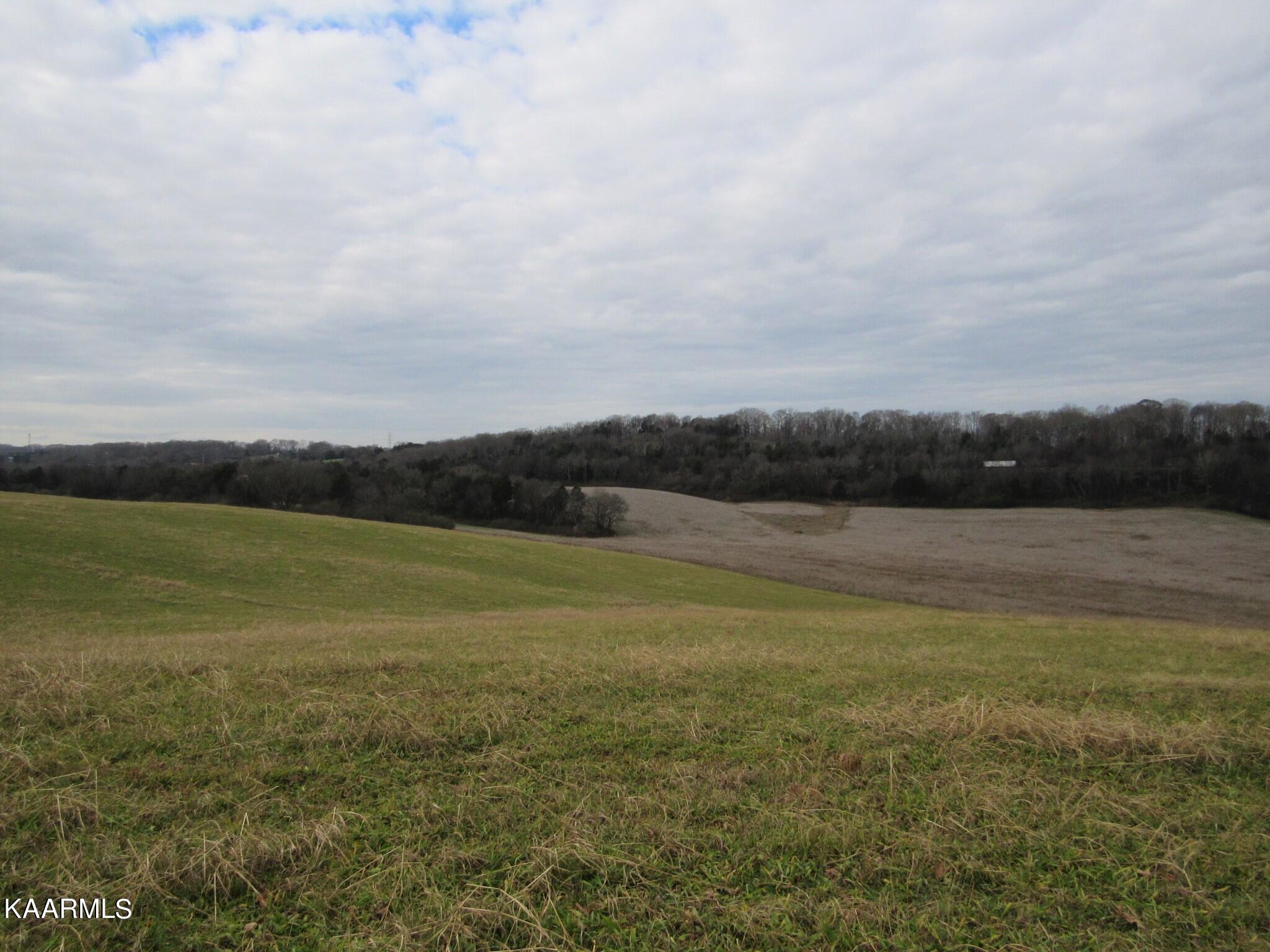 River Road Loudon, TN 37774 - Photo 3 of 34 IMG_3726 (2)