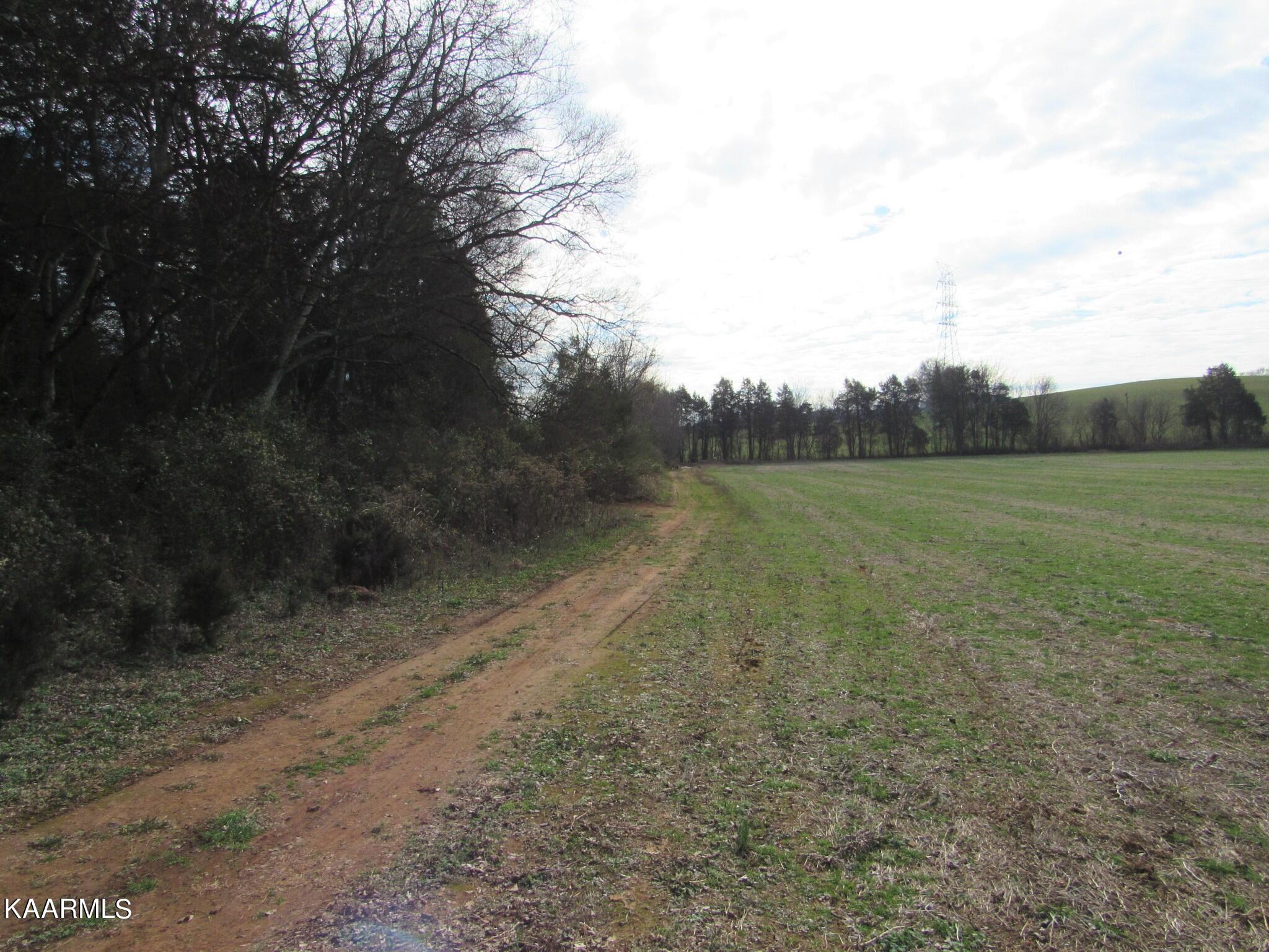 River Road Loudon, TN 37774 - Photo 21 of 34 IMG_3765 (2)