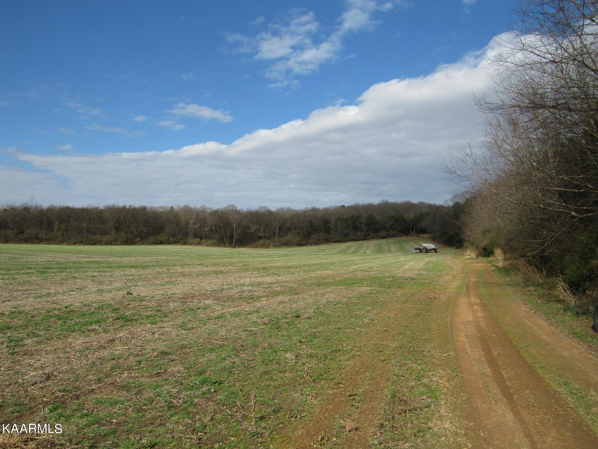 River Road Loudon, TN 37774 - Photo 25 of 34 IMG_3770 (2)