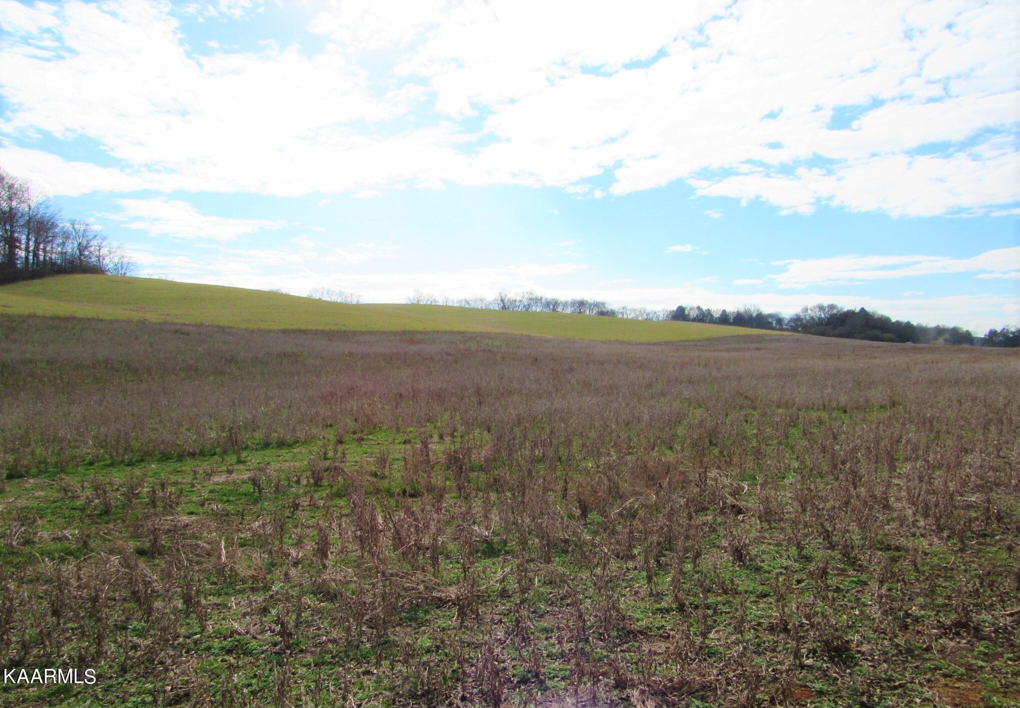 River Road Loudon, TN 37774 - Photo 28 of 34 IMG_3782 (2)