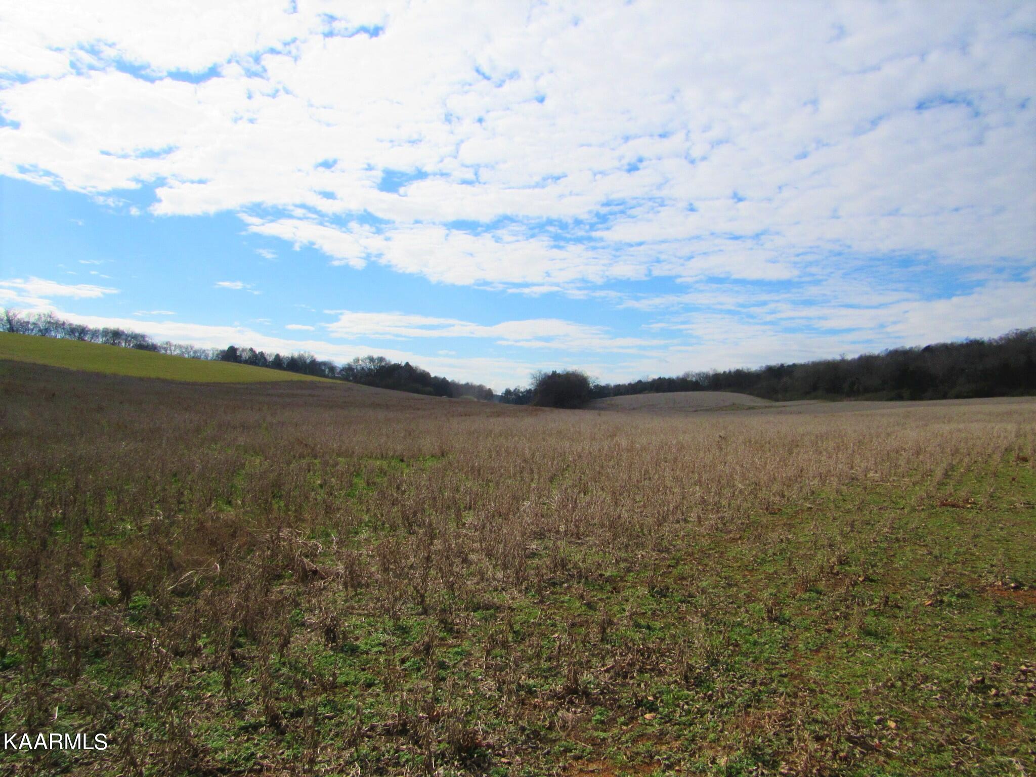 River Road Loudon, TN 37774 - Photo 29 of 34 IMG_3783 (2)