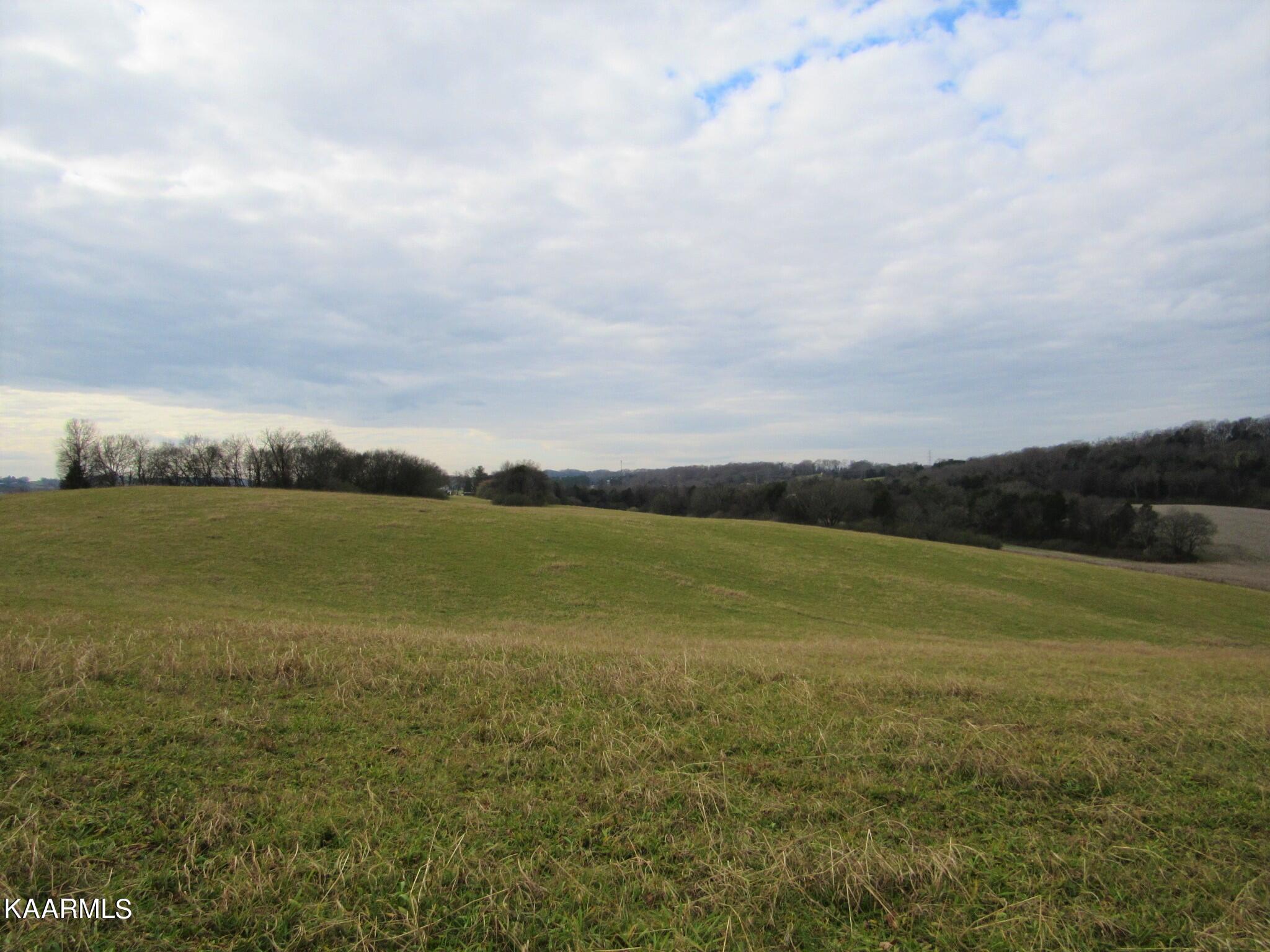 River Road Loudon, TN 37774 - Photo 4 of 34 IMG_3727 (2)