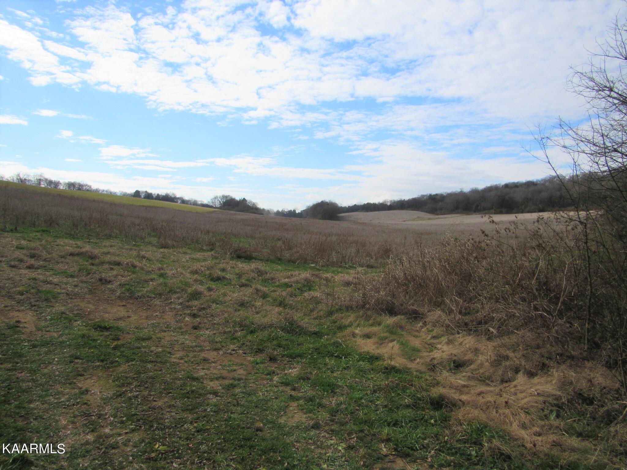 River Road Loudon, TN 37774 - Photo 31 of 34 IMG_3791 (2)