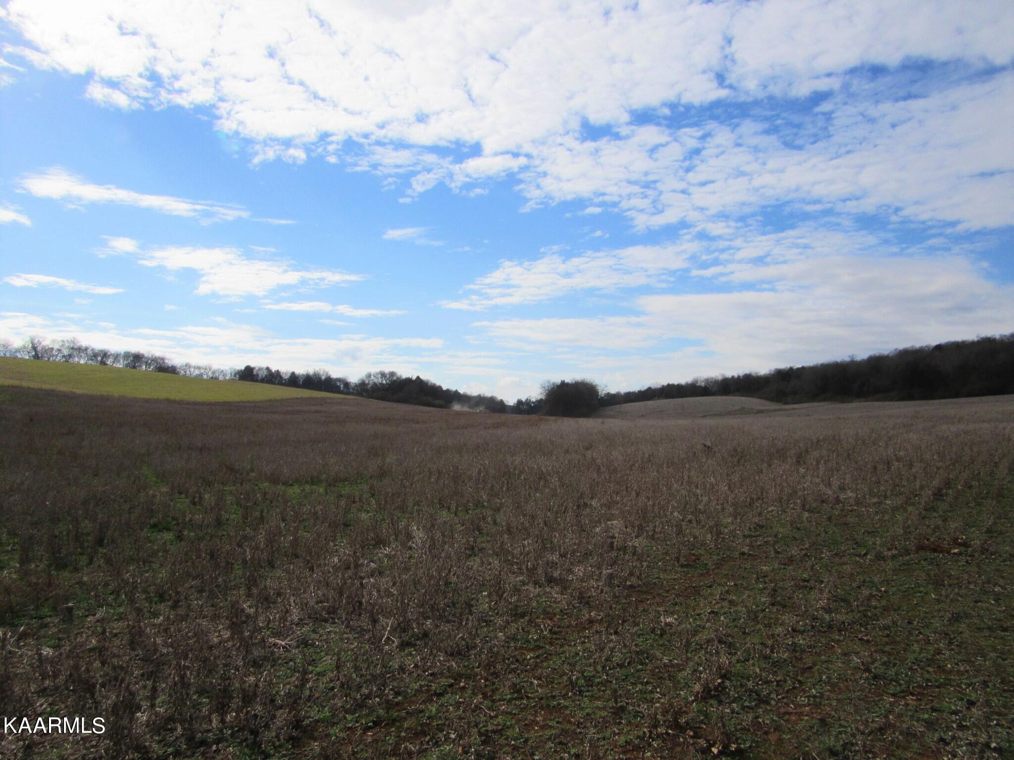 River Road Loudon, TN 37774 - Photo 32 of 34 IMG_3792 (2)