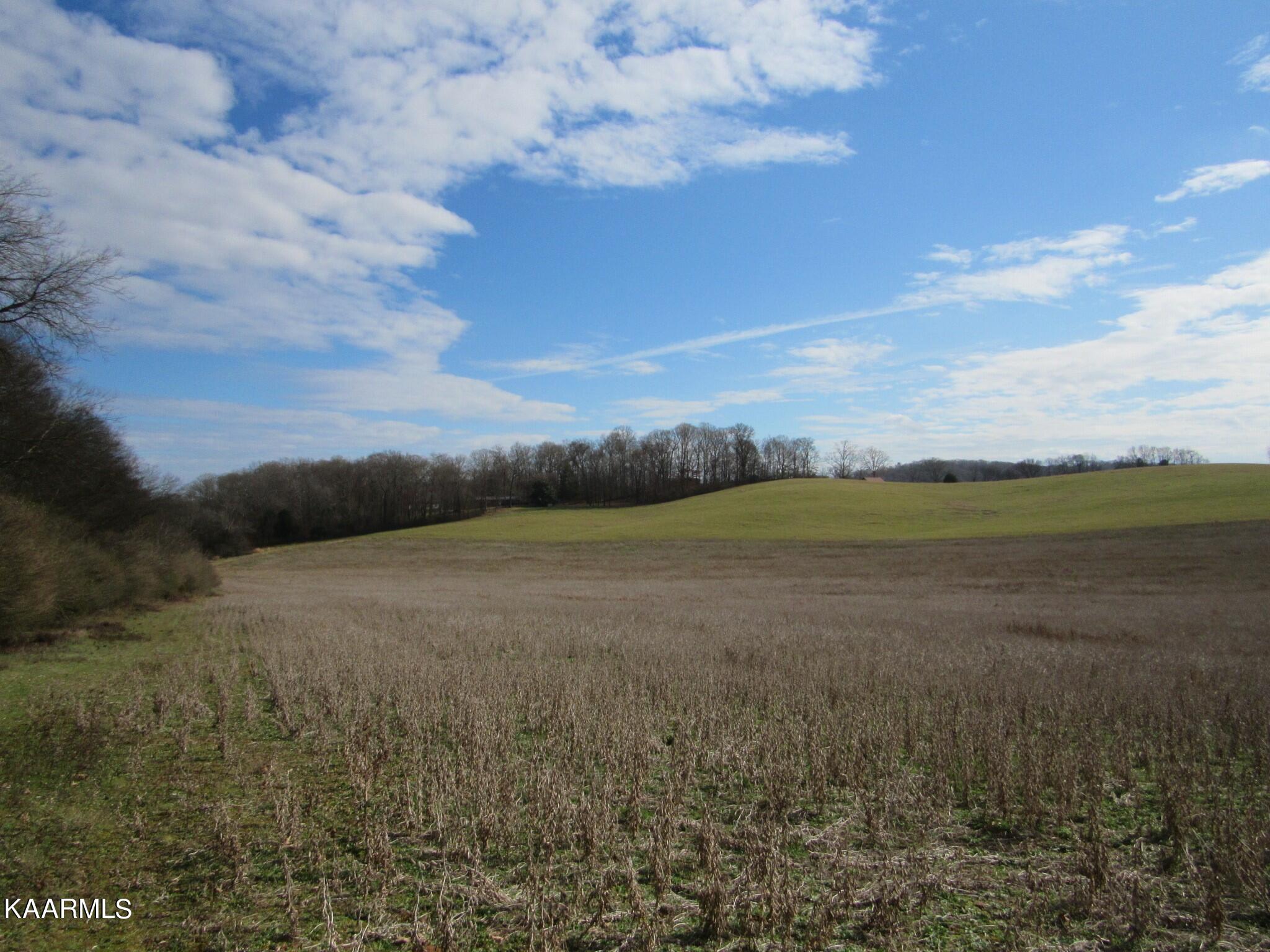 River Road Loudon, TN 37774 - Photo 33 of 34 IMG_3796 (2)