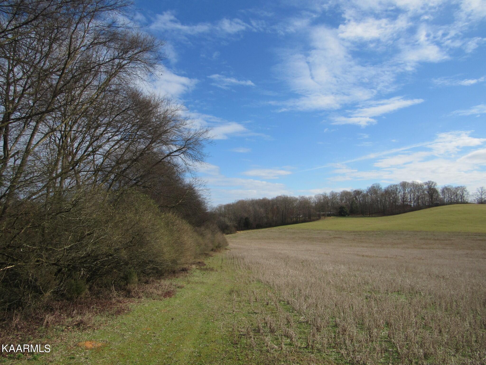 River Road Loudon, TN 37774 - Photo 34 of 34 IMG_3805 (2)