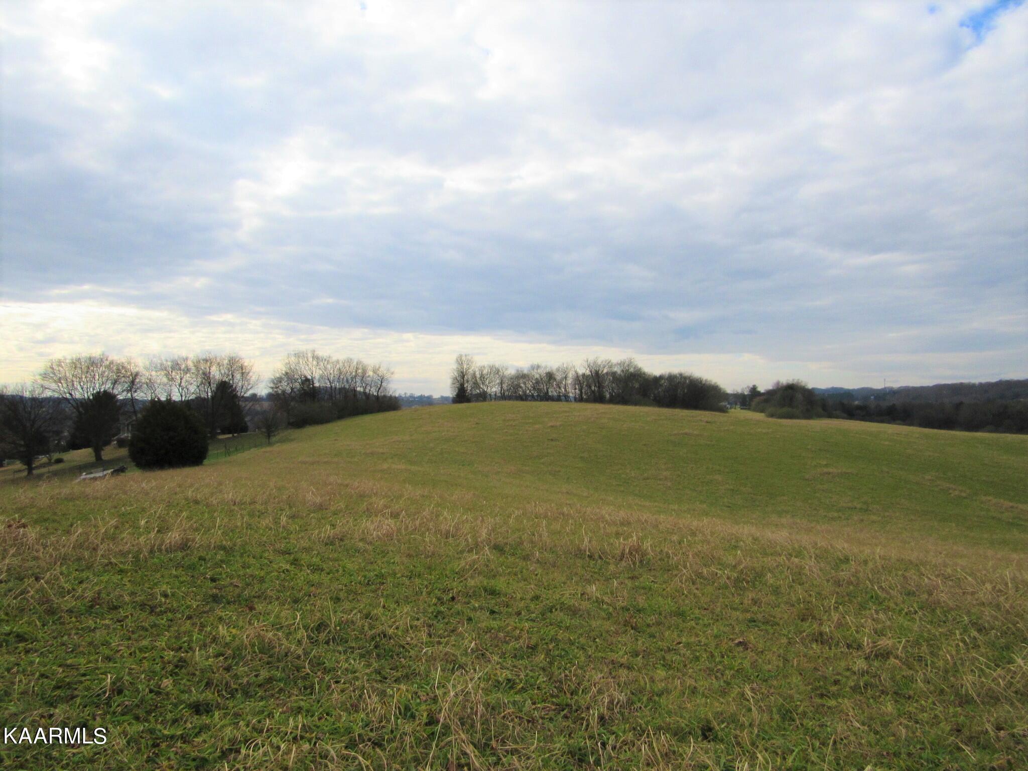 River Road Loudon, TN 37774 - Photo 5 of 34 IMG_3728 (2)
