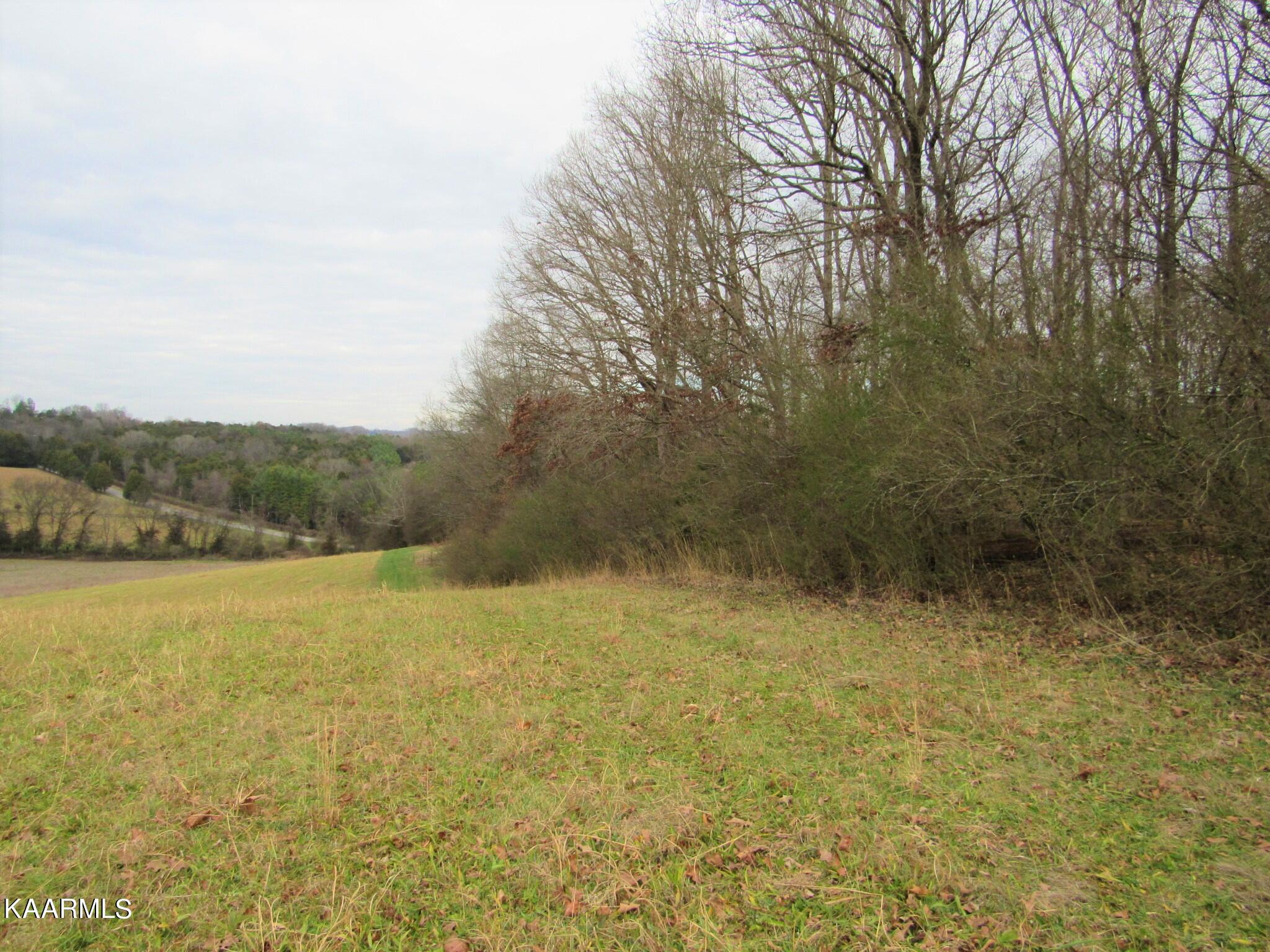 River Road Loudon, TN 37774 - Photo 6 of 34 IMG_3730 (2)