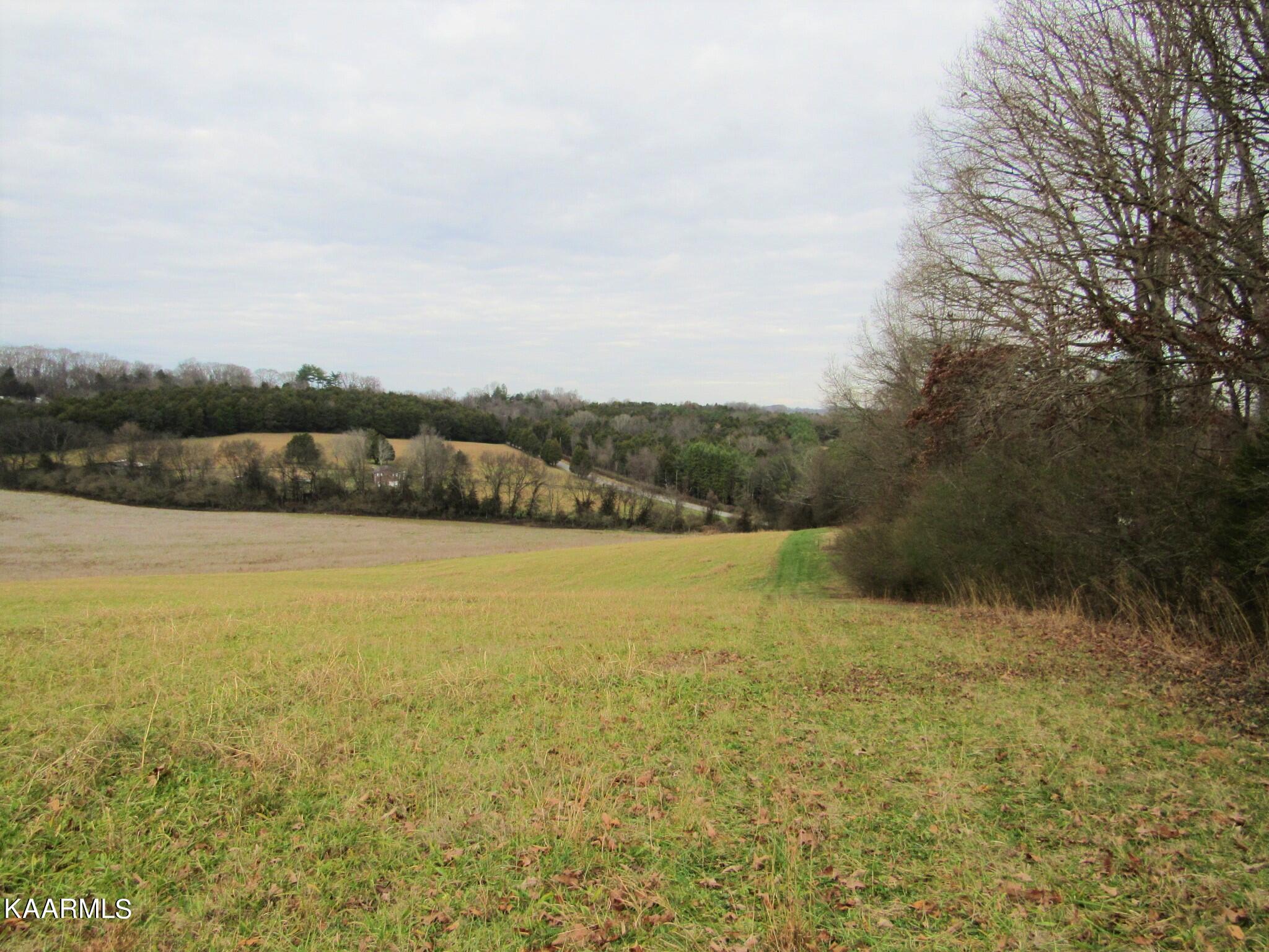 River Road Loudon, TN 37774 - Photo 7 of 34 IMG_3731 (2)