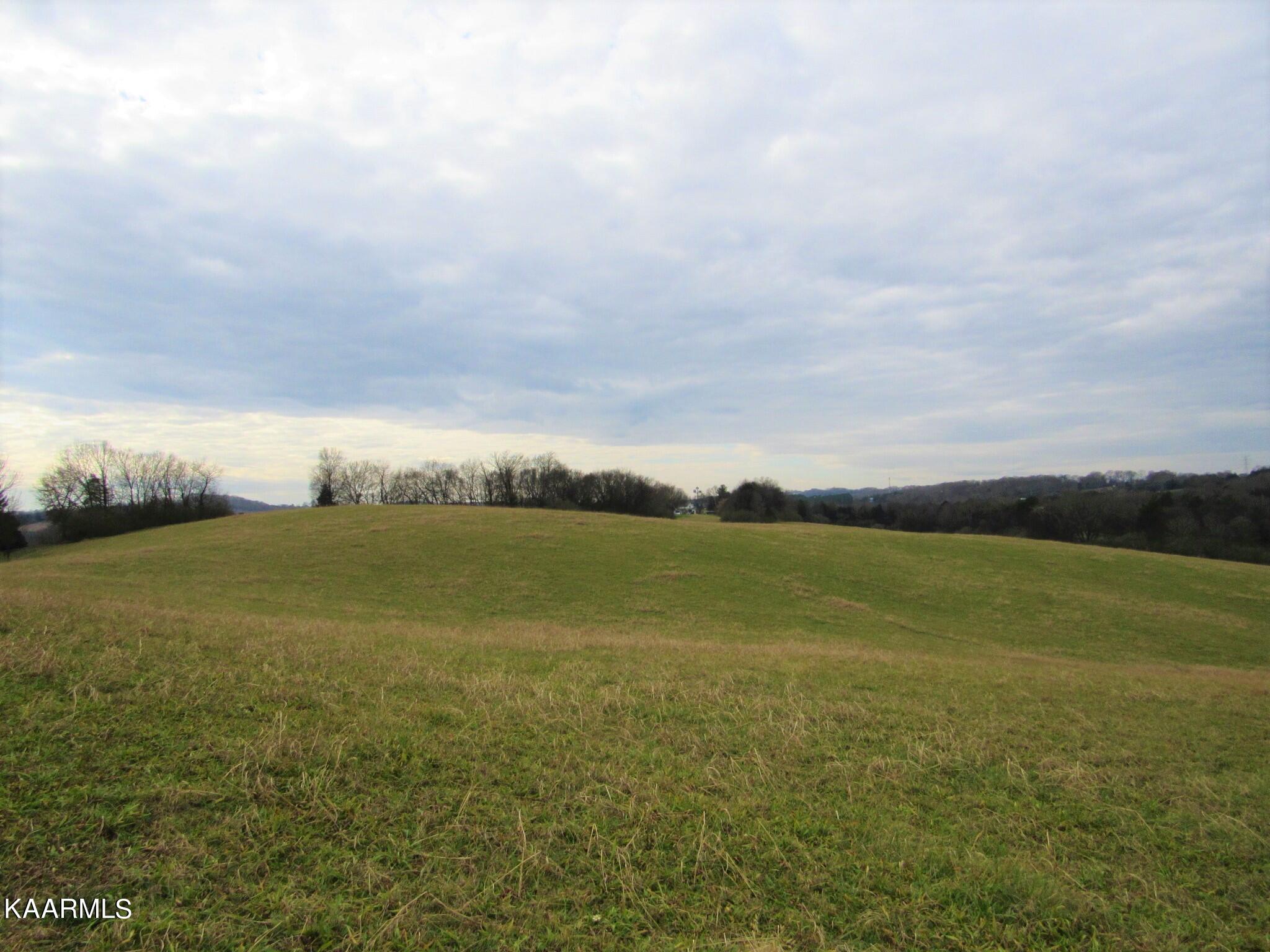 River Road Loudon, TN 37774 - Photo 8 of 34 IMG_3733 (2)