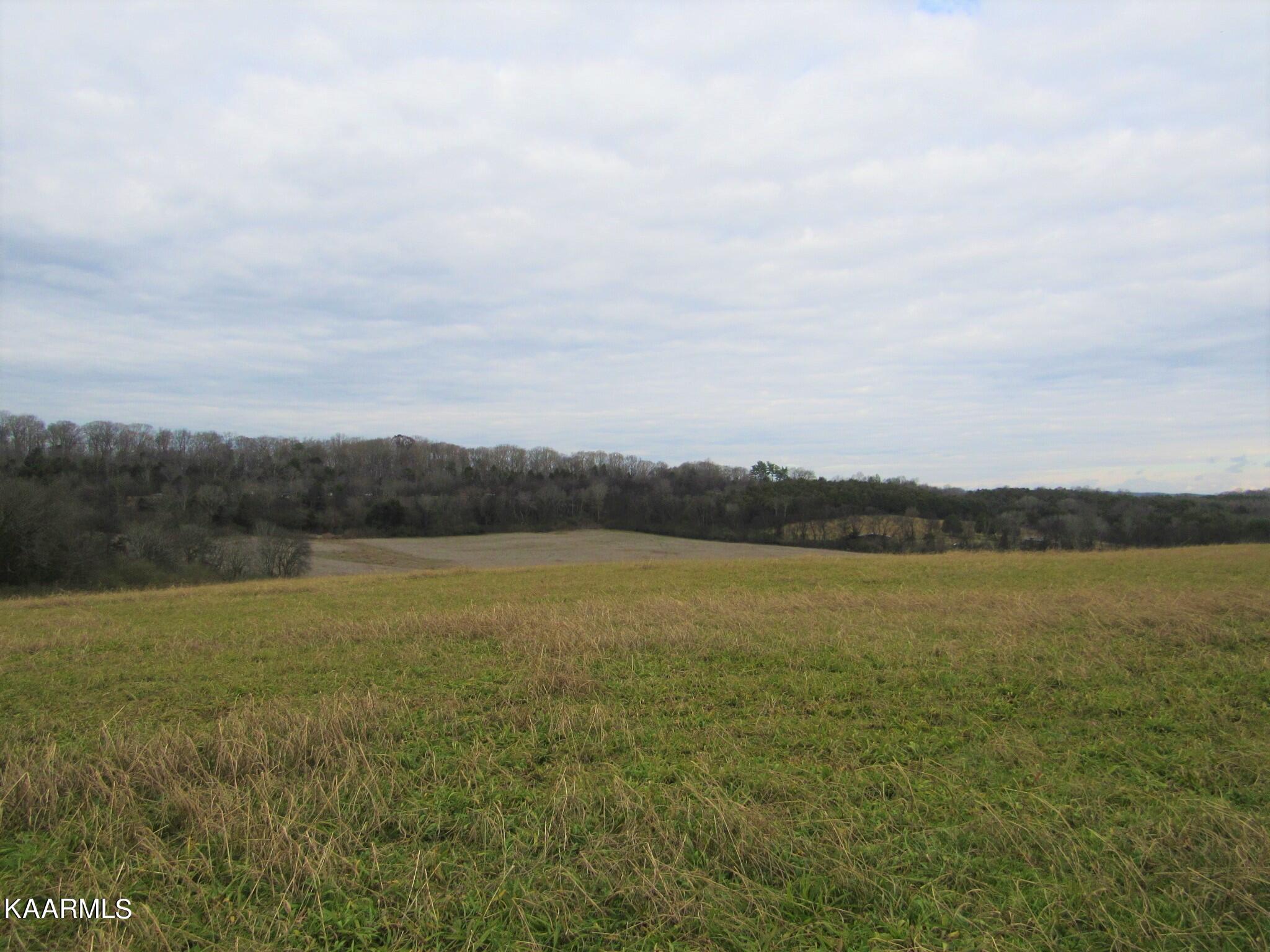 River Road Loudon, TN 37774 - Photo 9 of 34 IMG_3735 (2)