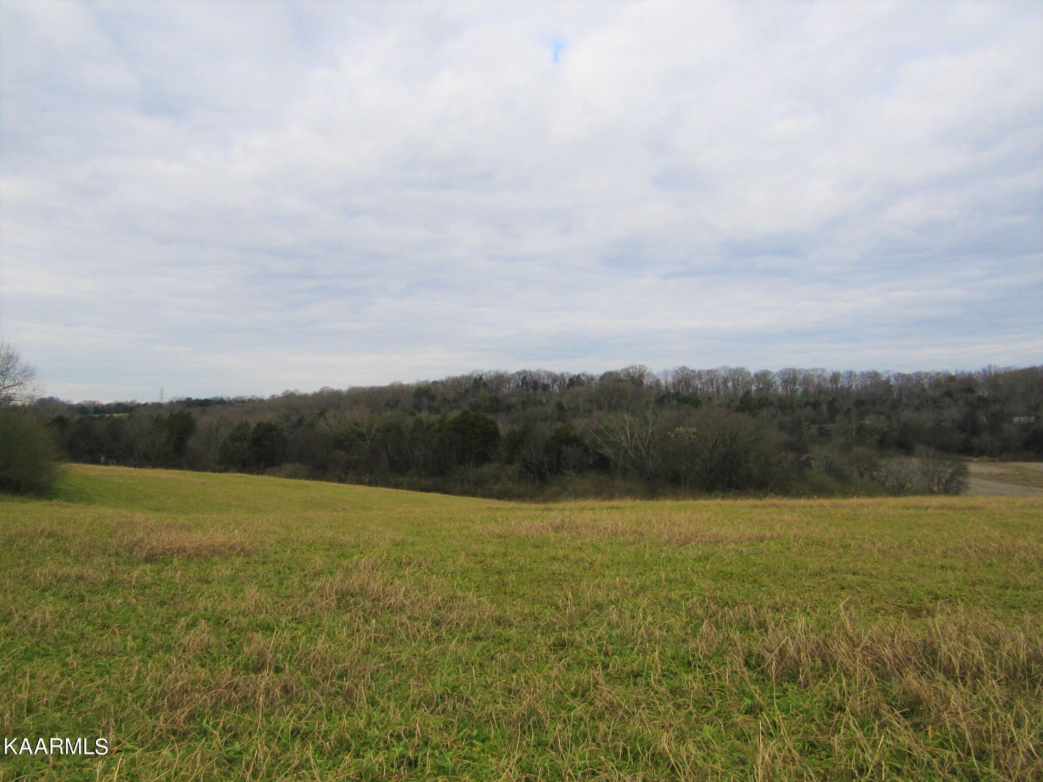 River Road Loudon, TN 37774 - Photo 10 of 34 IMG_3736 (2)