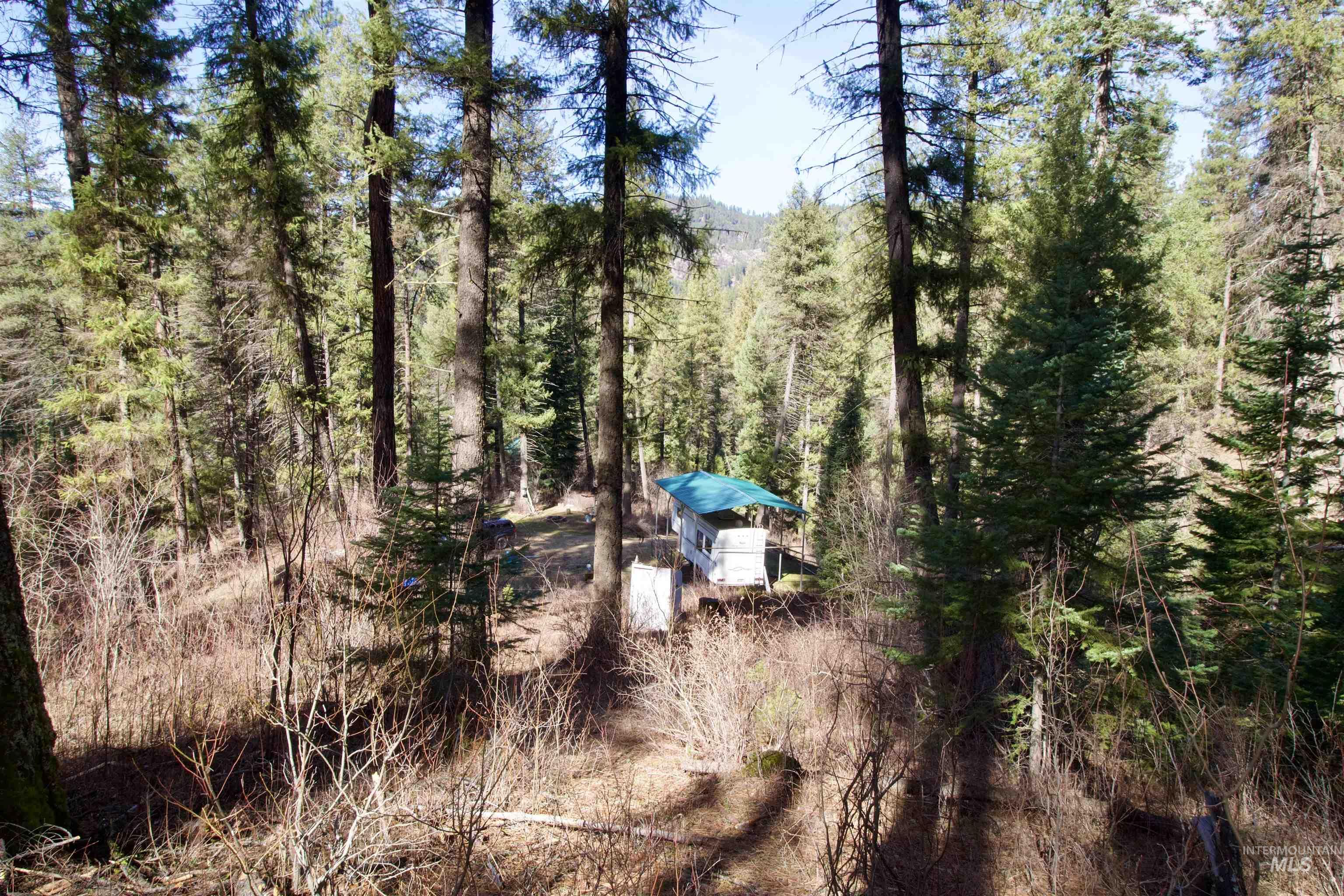 36 Lightning Creek Road Garden Valley, ID 83622 - Photo 8 of 12 Exterior view of a heavily wooded area