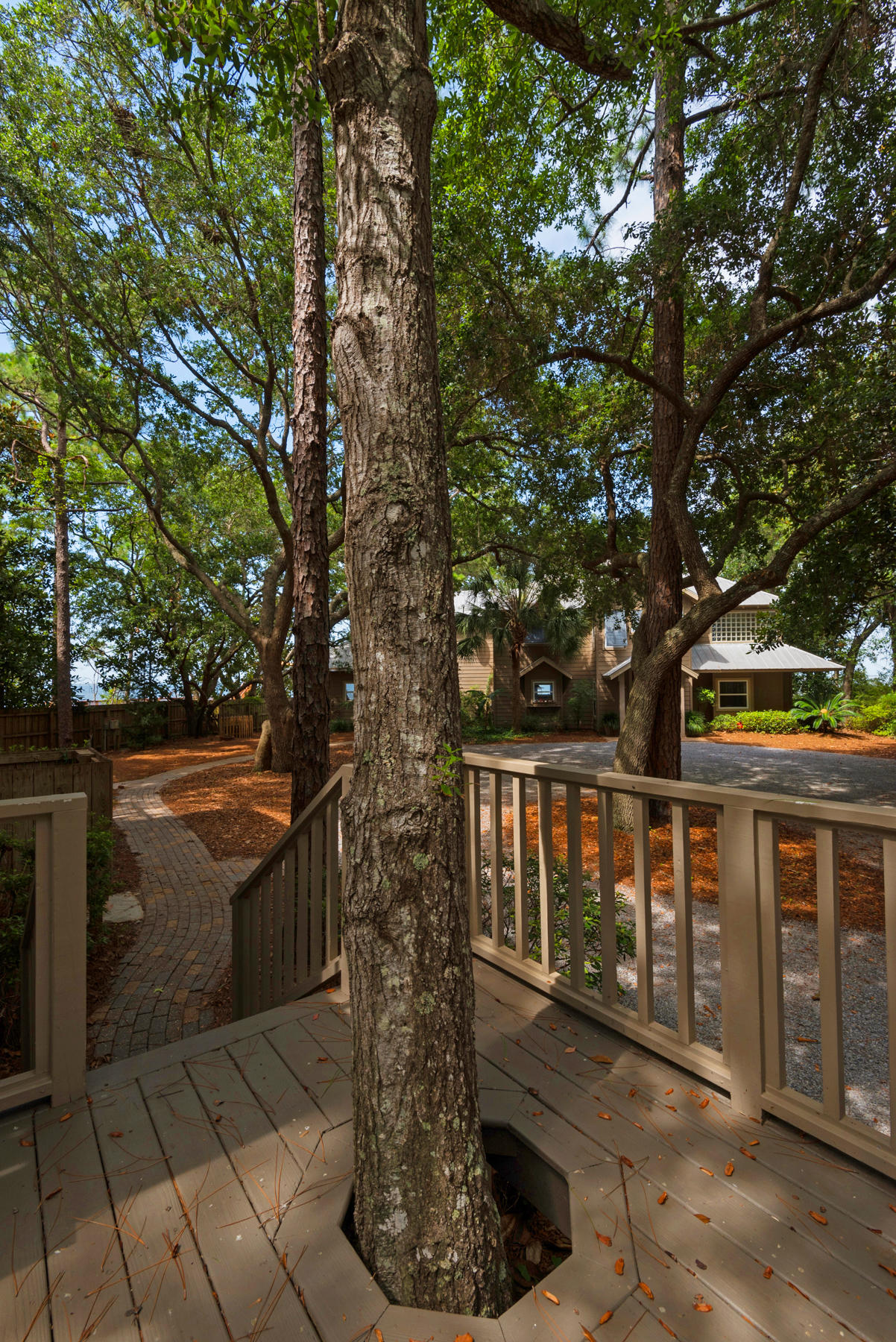 1245 East Nursery Road Santa Rosa Beach, FL 32459 - Photo 64 of 120 1245ENurseryRd_20190716_375