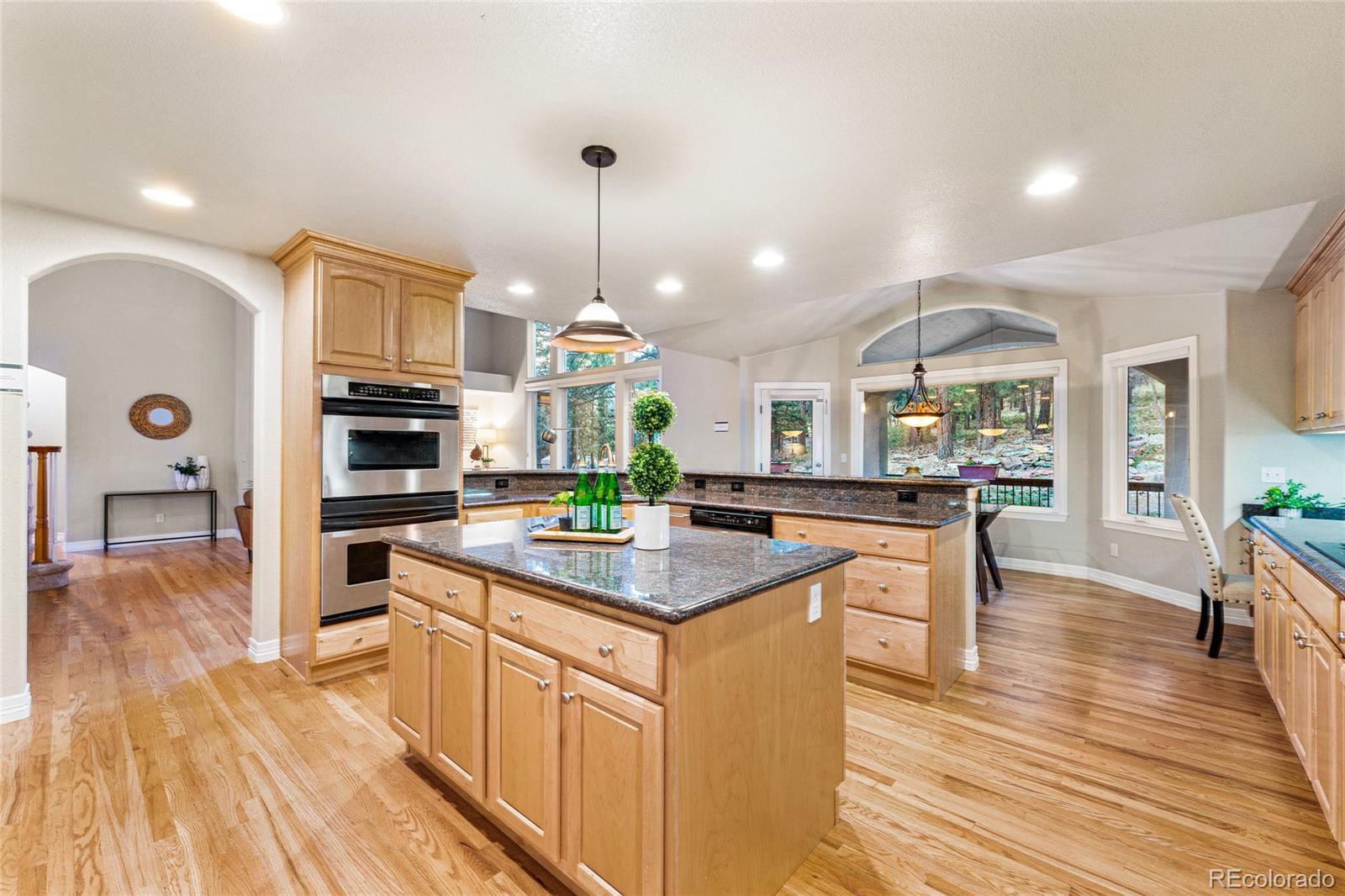 8305 Inca Road Larkspur, CO 80118 - Photo 19 of 40