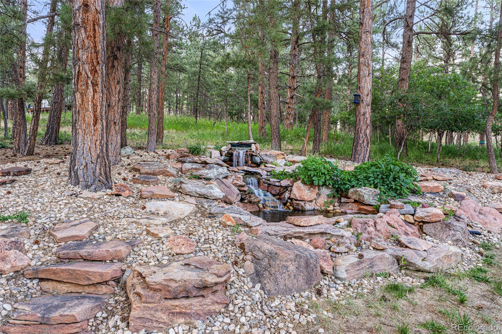 8305 Inca Road Larkspur, CO 80118 - Photo 7 of 40