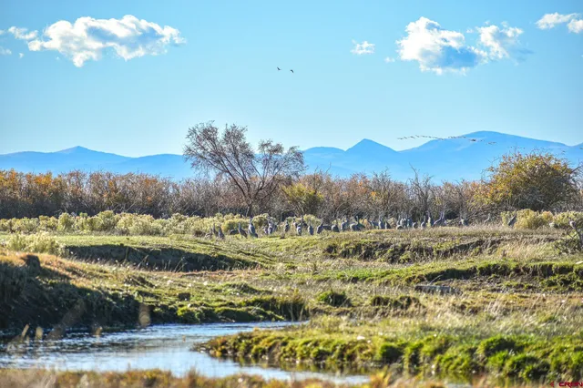 $975,000 | 0 County Road, Blanca, CO 81123