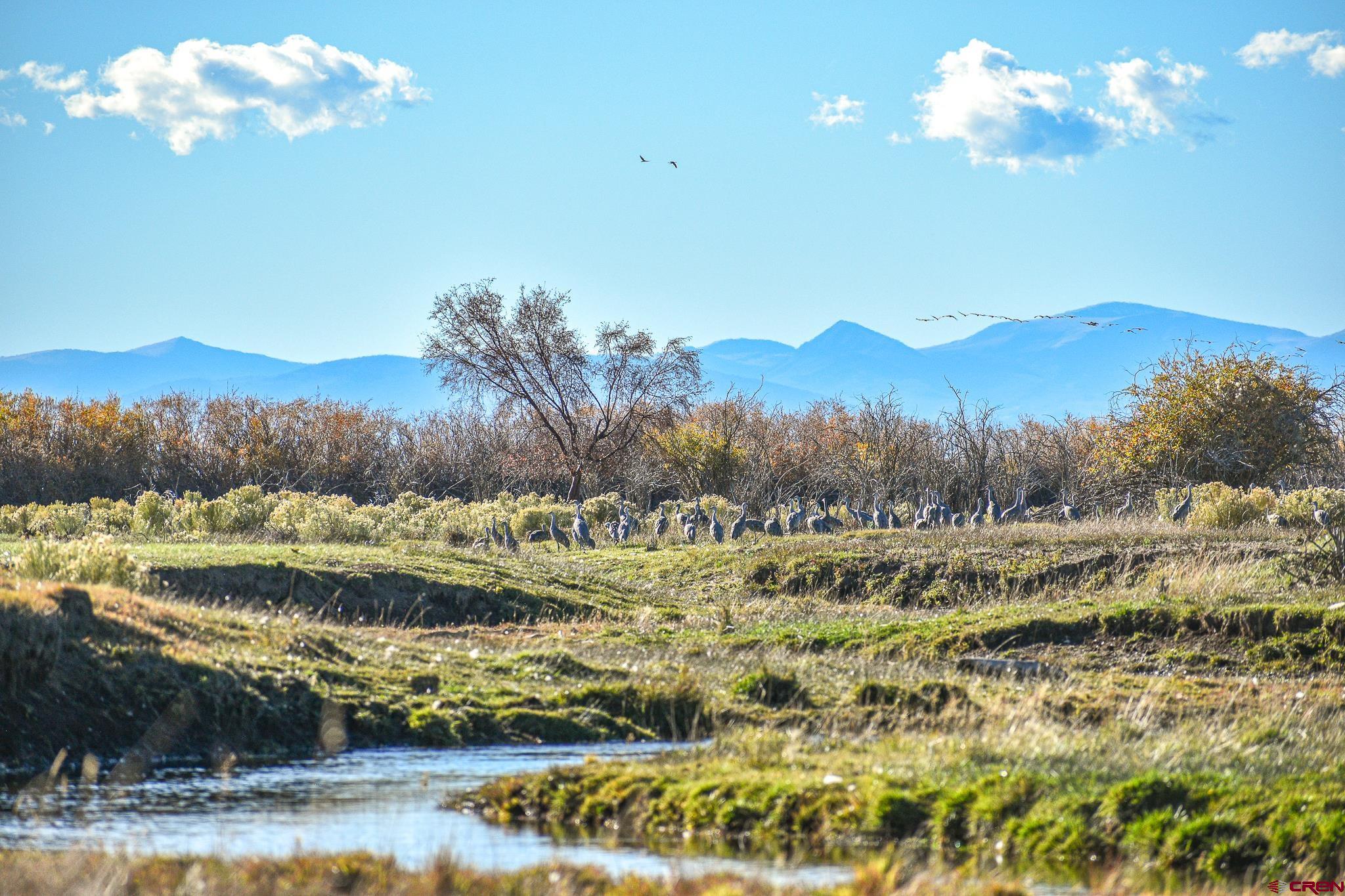 0 County Road Blanca, CO 81123 - Photo 1 of 18 a view of a lake with a mountain