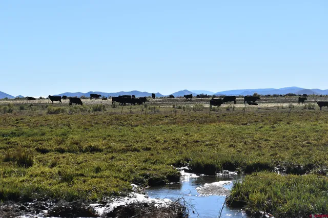 $975,000 | 0 County Road, Blanca, CO 81123