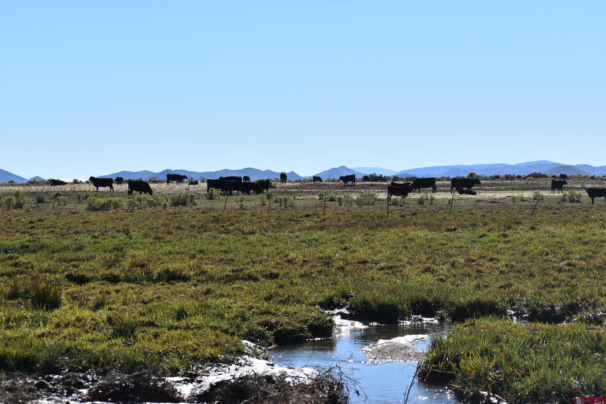 0 County Road Blanca, CO 81123 - Photo 11 of 18 a view of a bunch of trees and houses
