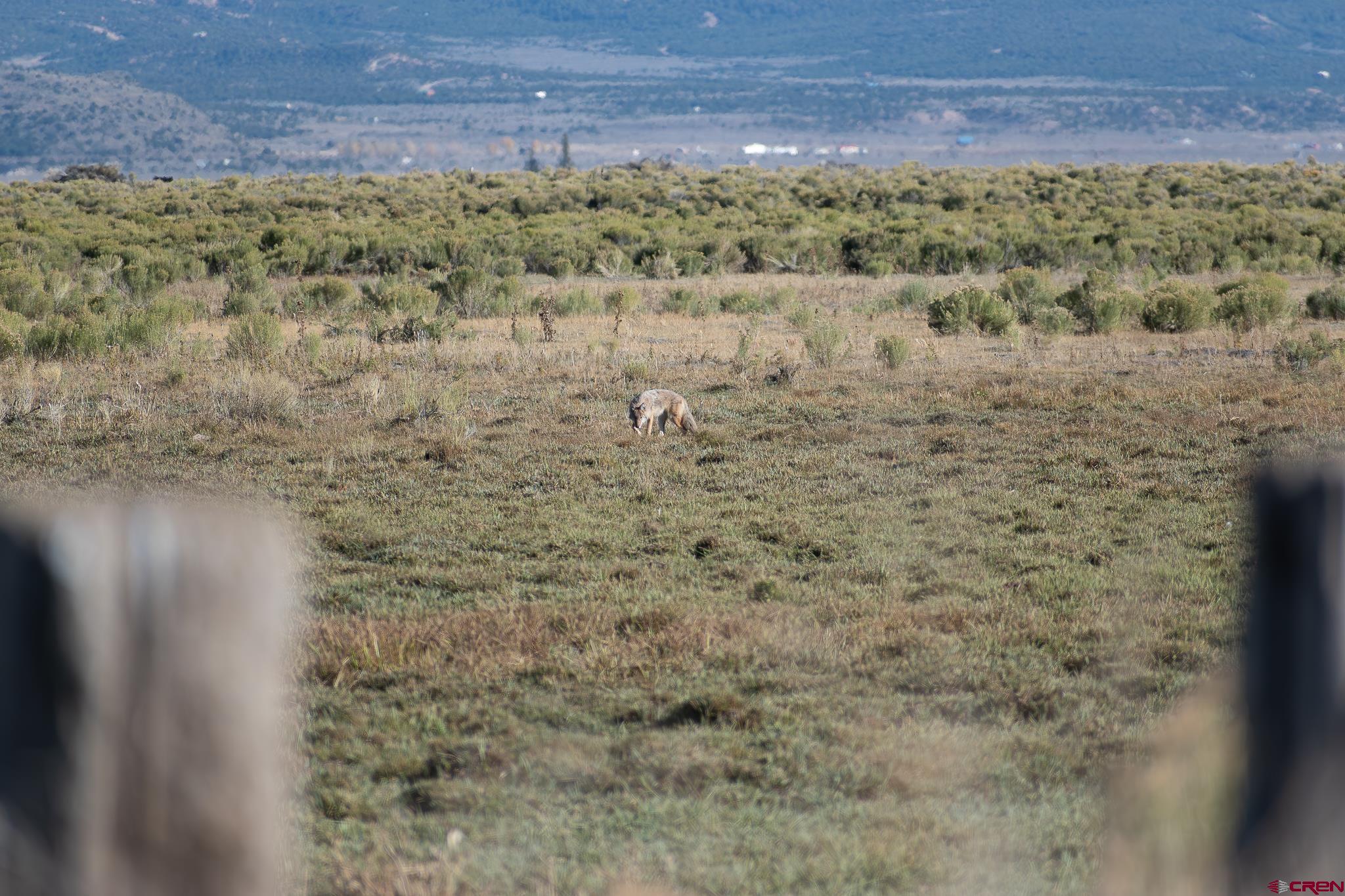 0 County Road Blanca, CO 81123 - Photo 12 of 18 a bathroom with a shower