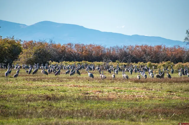 $975,000 | 0 County Road, Blanca, CO 81123