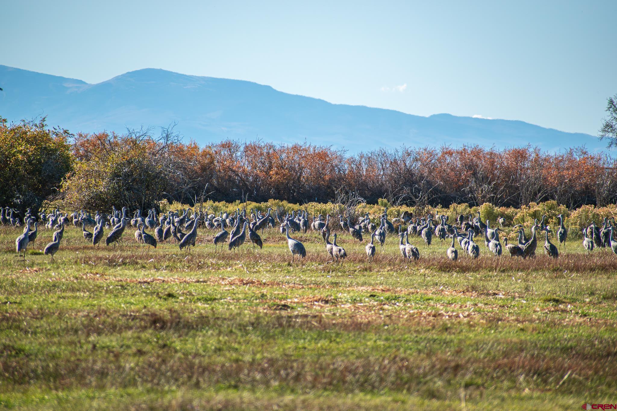 0 County Road Blanca, CO 81123 - Photo 2 of 18 a view of ocean with mountains