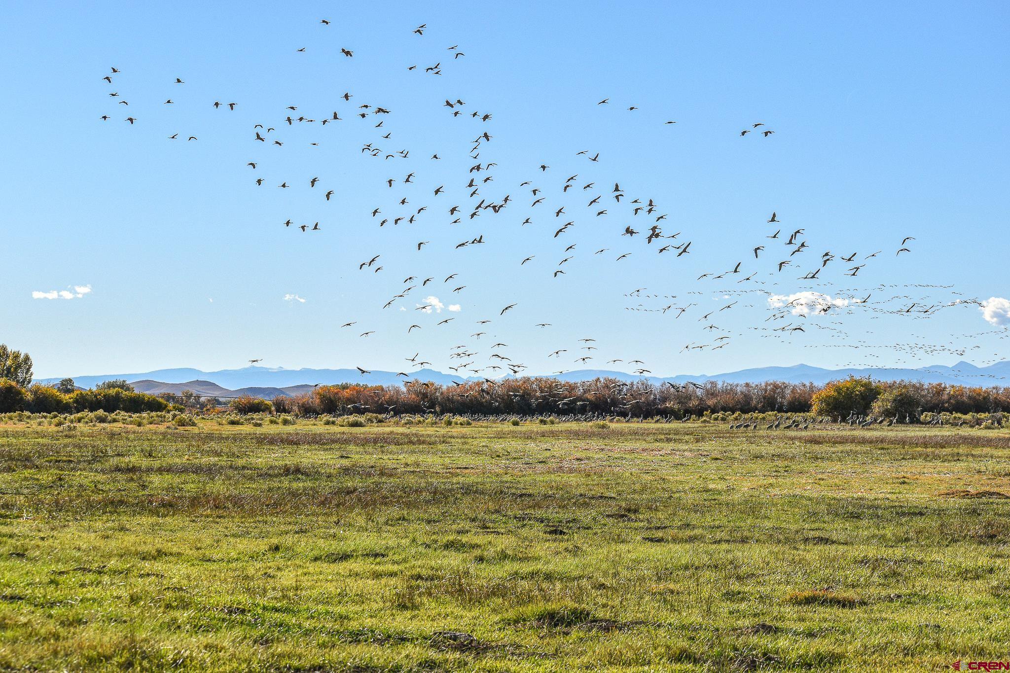 0 County Road Blanca, CO 81123 - Photo 3 of 18 a view of a ocean view