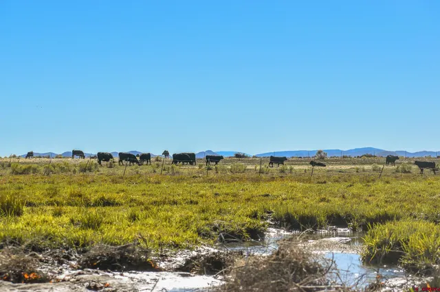 $975,000 | 0 County Road, Blanca, CO 81123