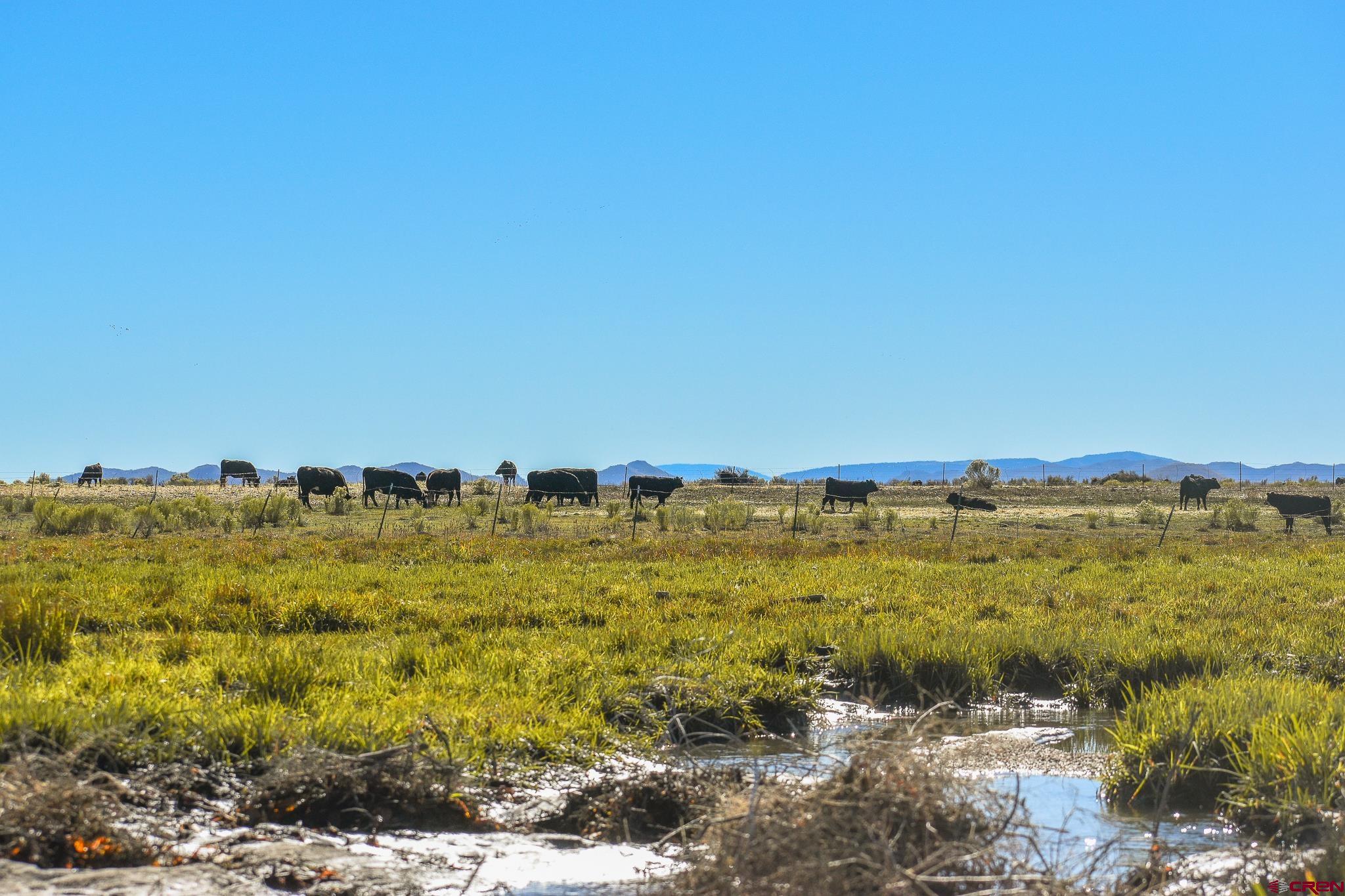 0 County Road Blanca, CO 81123 - Photo 6 of 18 a view of an ocean view