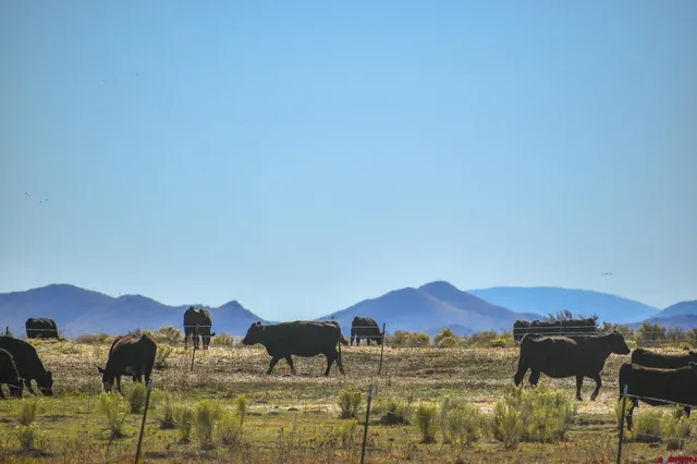 $975,000 | 0 County Road, Blanca, CO 81123