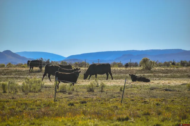 $975,000 | 0 County Road, Blanca, CO 81123