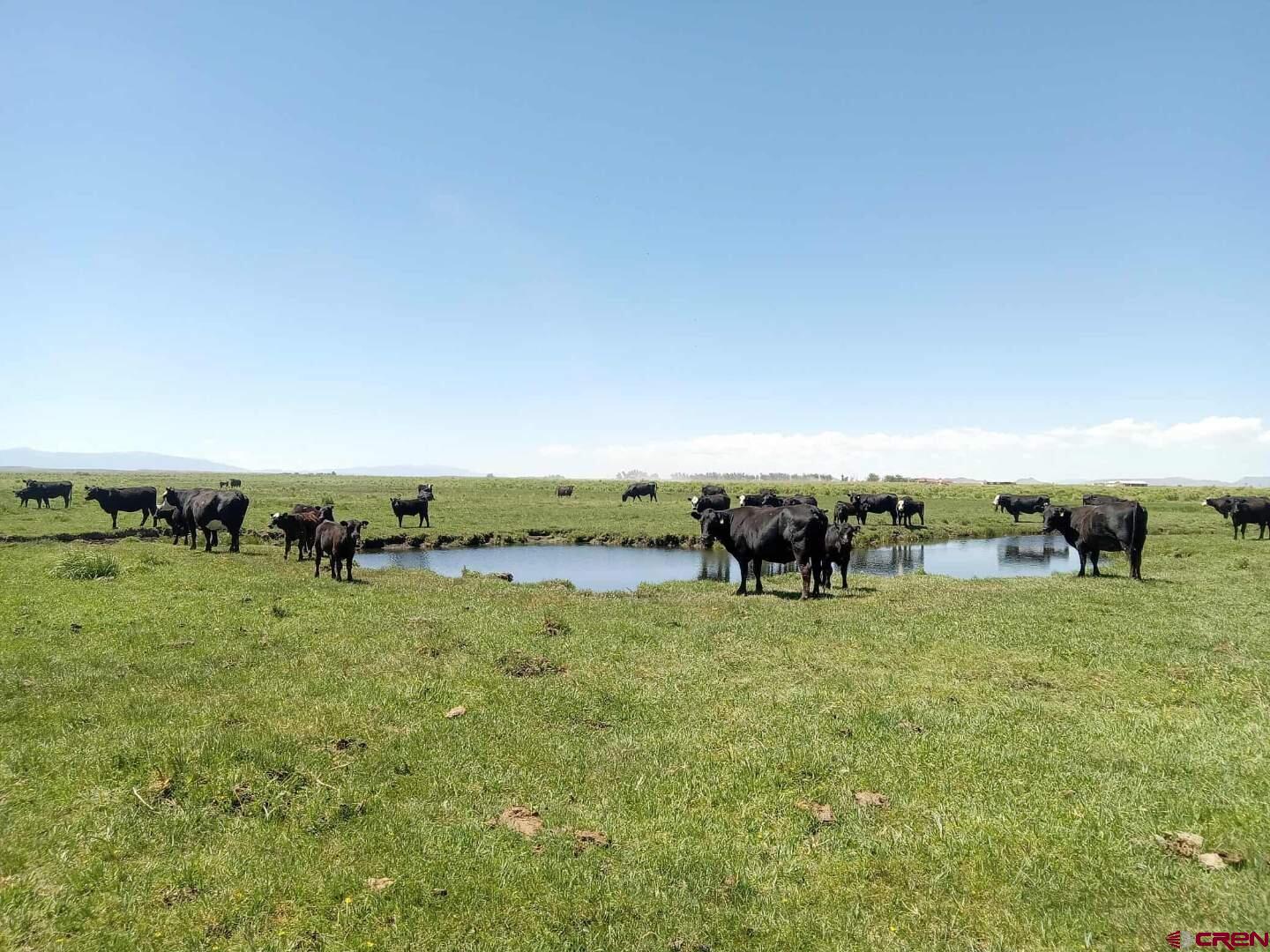 0 County Road Blanca, CO 81123 - Photo 9 of 18 a view of a field with an outdoor space and seating