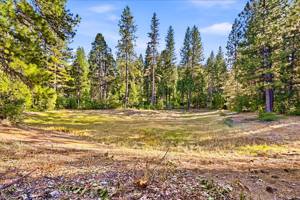 14855 Red Dog Road Nevada City, CA 95959 - Photo 86 of 93 Gallery Image 86