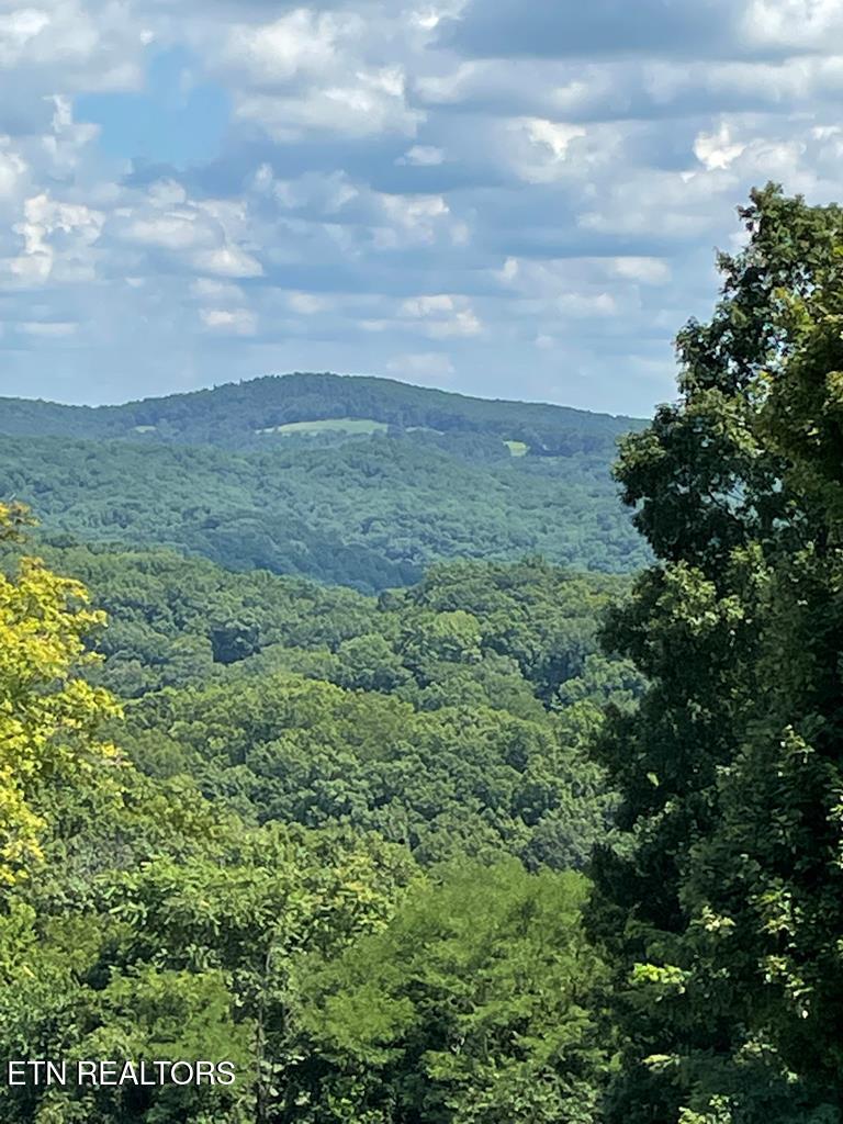 Lot 57 Goose Road Celina, TN 38551 - Photo 4 of 18 213376_8 (1)