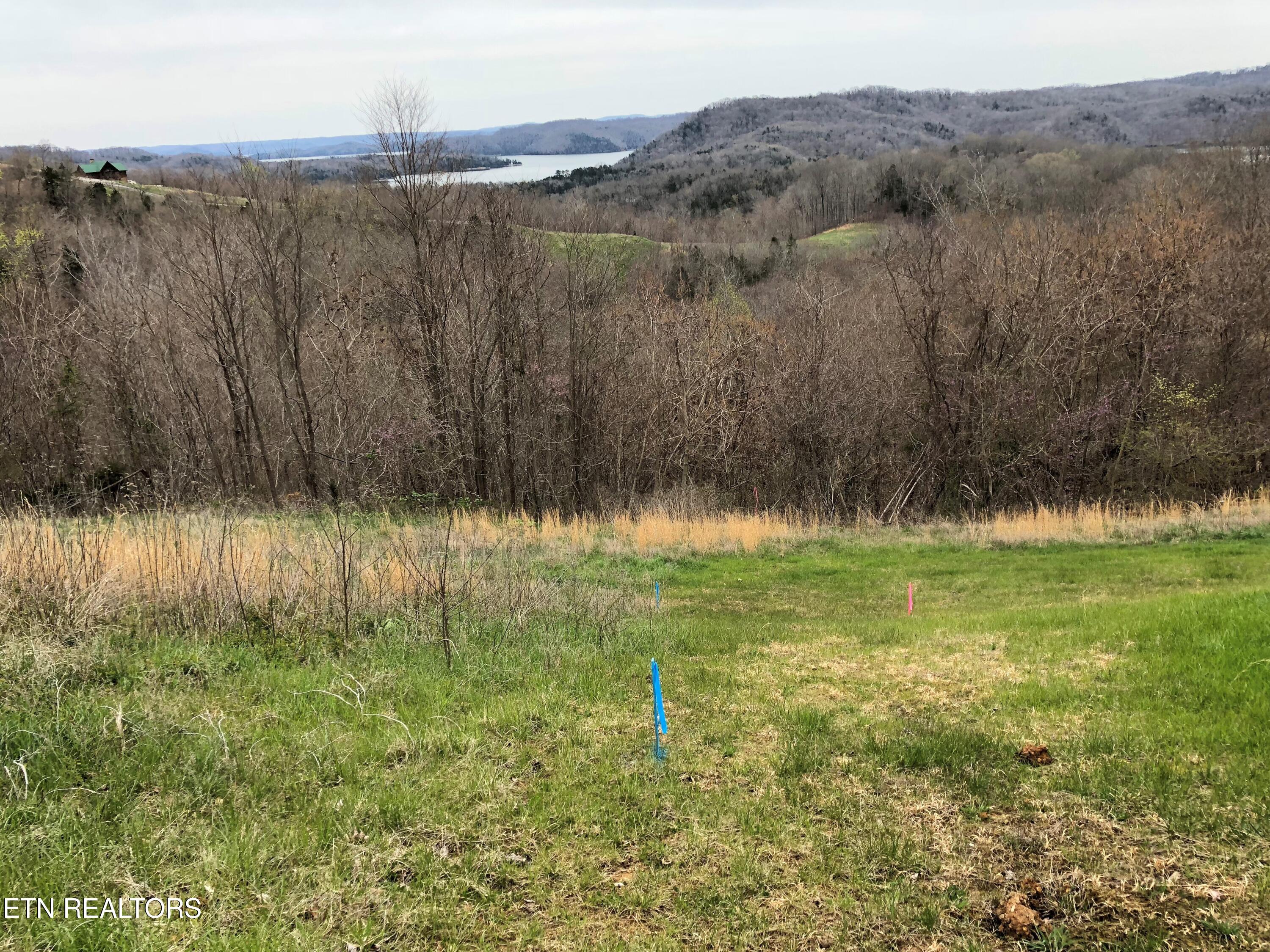Lot 57 Goose Road Celina, TN 38551 - Photo 8 of 18 57A from center of intended build site l