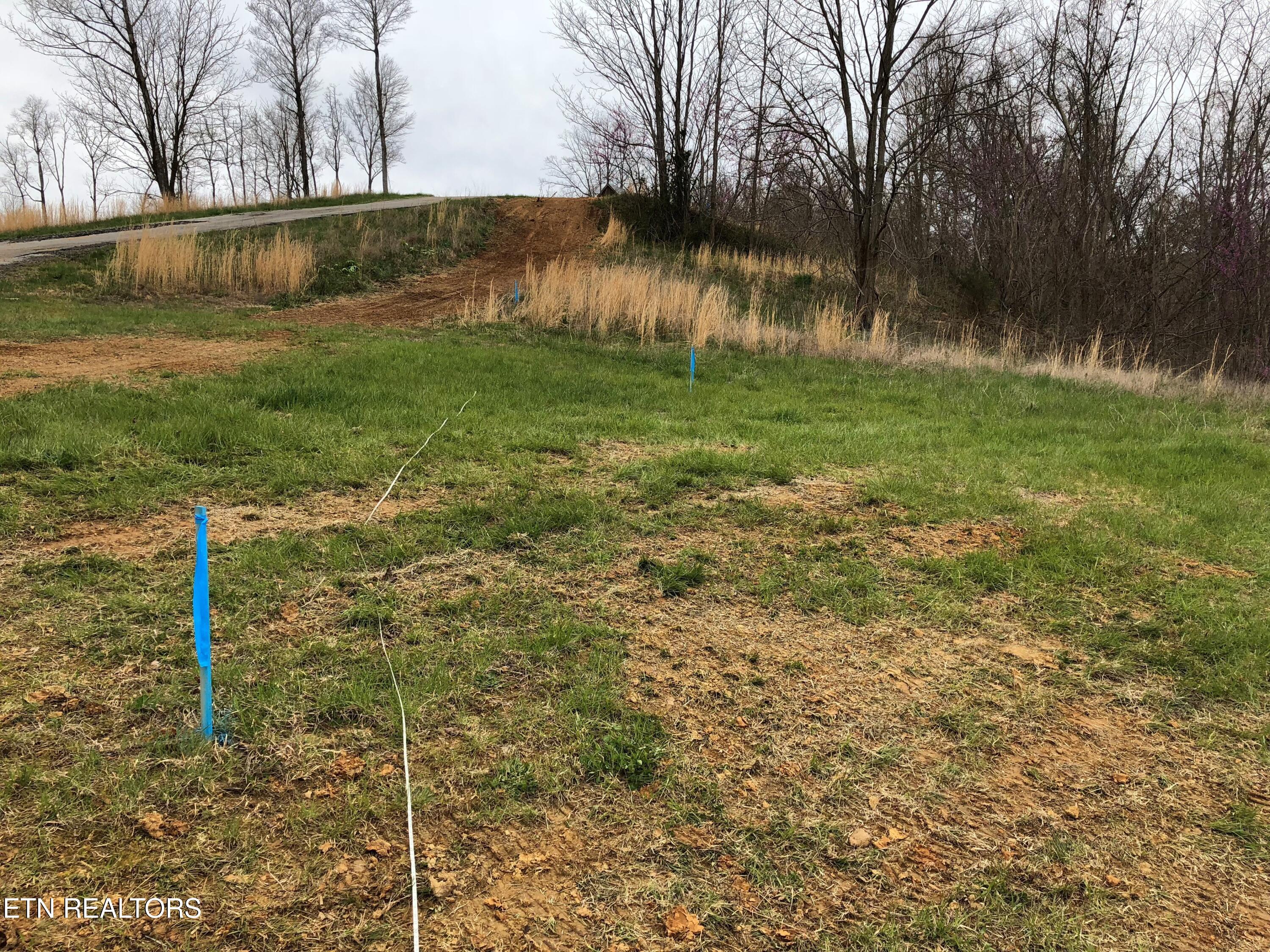 Lot 57 Goose Road Celina, TN 38551 - Photo 9 of 18 57A from center of intended build site l