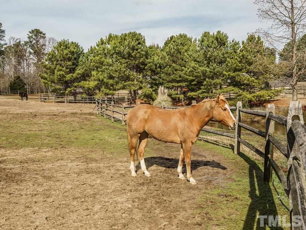 2125 Olive Chapel Road Apex, NC 27502 - Photo 20 of 25 One of the pastures overlooking the pond on the property. Horses can be boarded on the property.