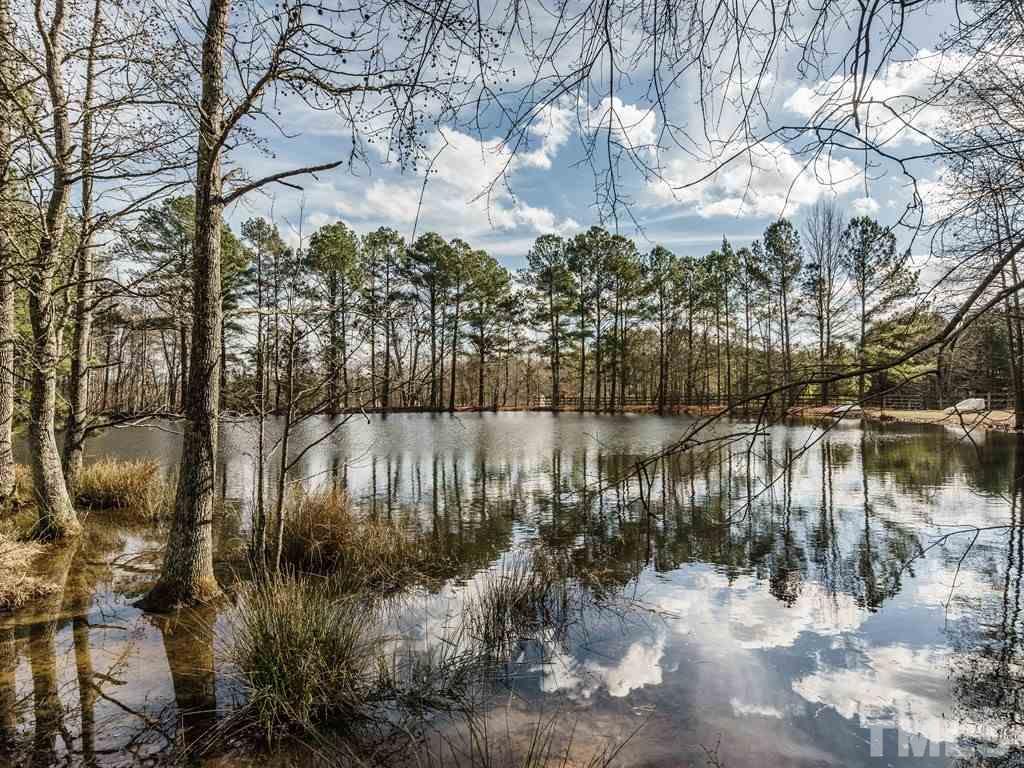 View of the back pond from the rear covered veranda.