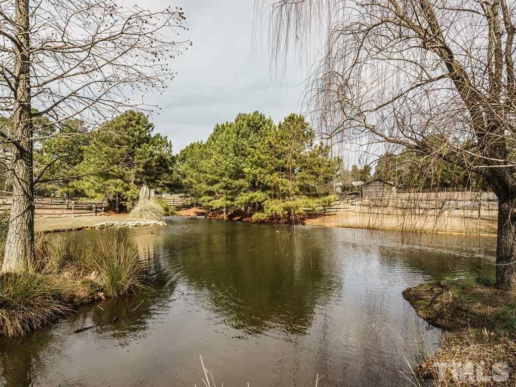 2125 Olive Chapel Road Apex, NC 27502 - Photo 21 of 25 Pond on the property.