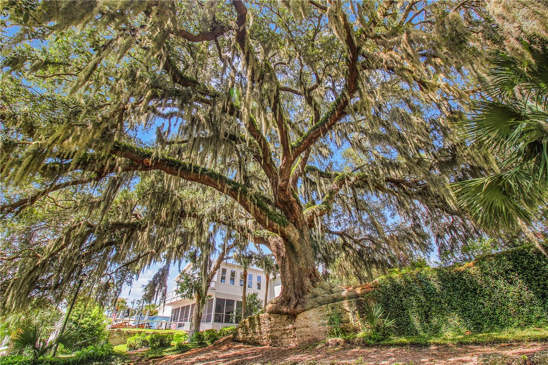 107 Broad Street, Unit D Darien, GA 31305 - Photo 53 of 56