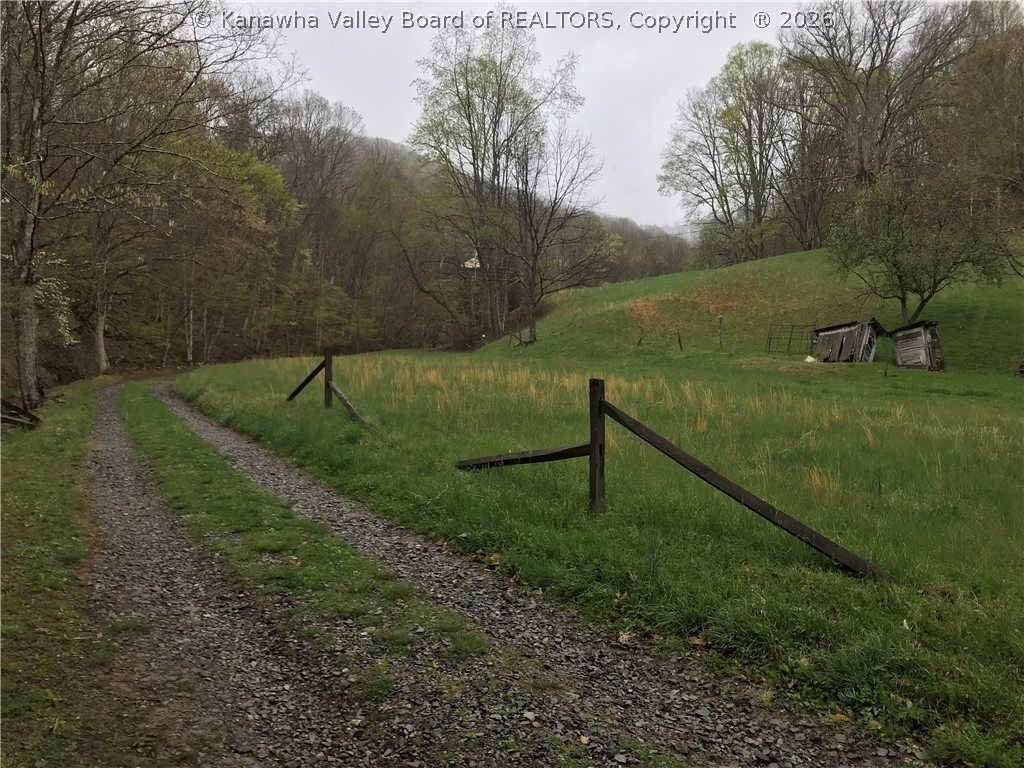 0 Deadfall Run Road Ivydale, WV 25113 - Photo 12 of 19 Gallery Image 12